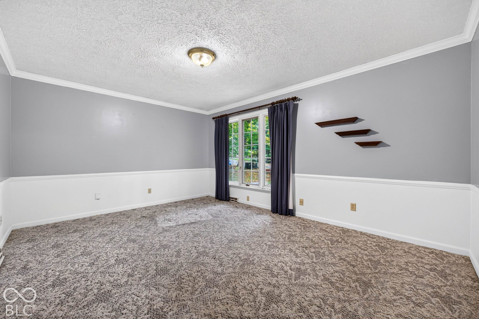 Neutral-toned room featuring crown molding, chair rail trim, built-in wall shelving, textured carpet flooring, and a large multi-pane window