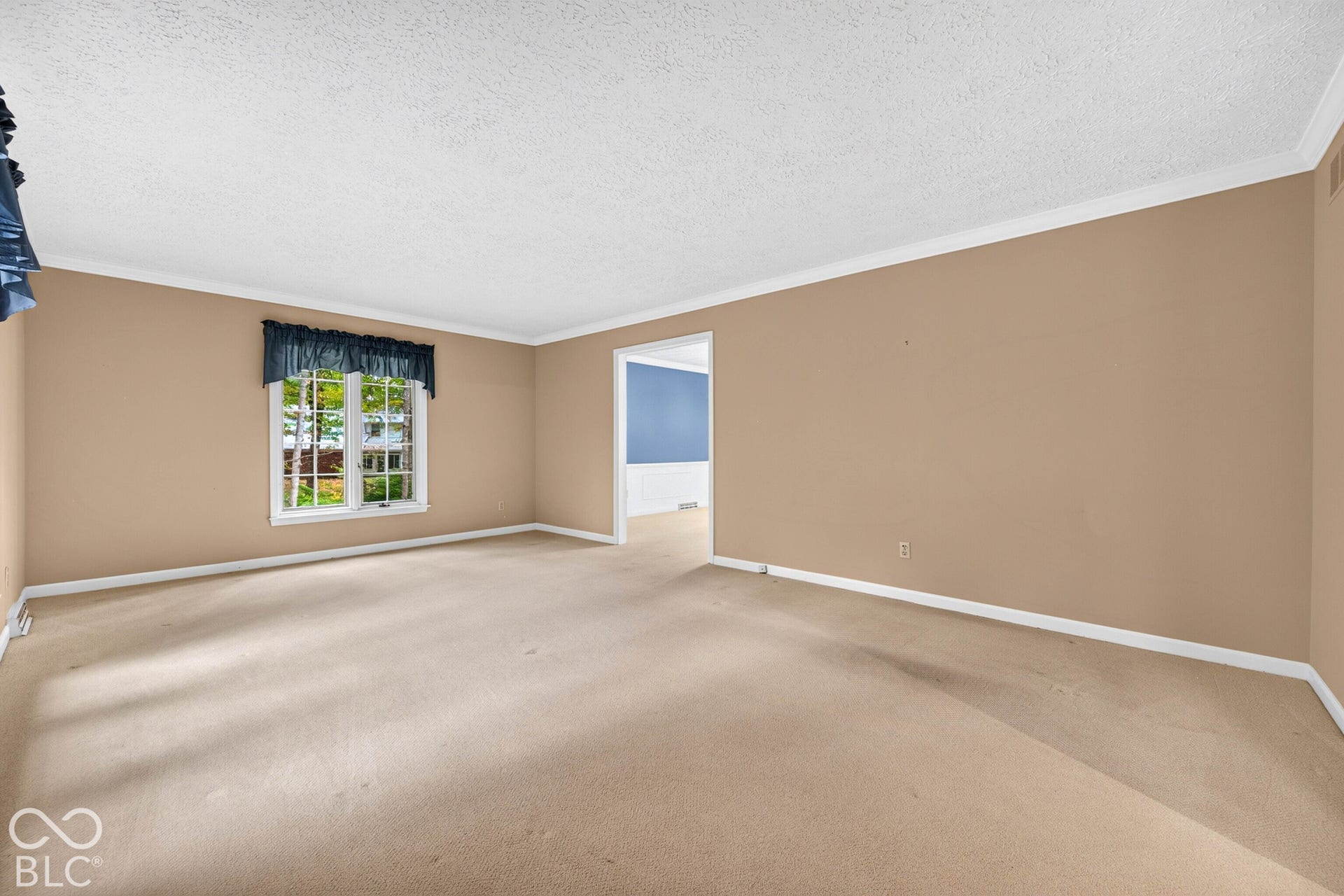 Interior space featuring neutral wall tones, multi-pane window with trim, crown molding, and wall-to-wall carpeting