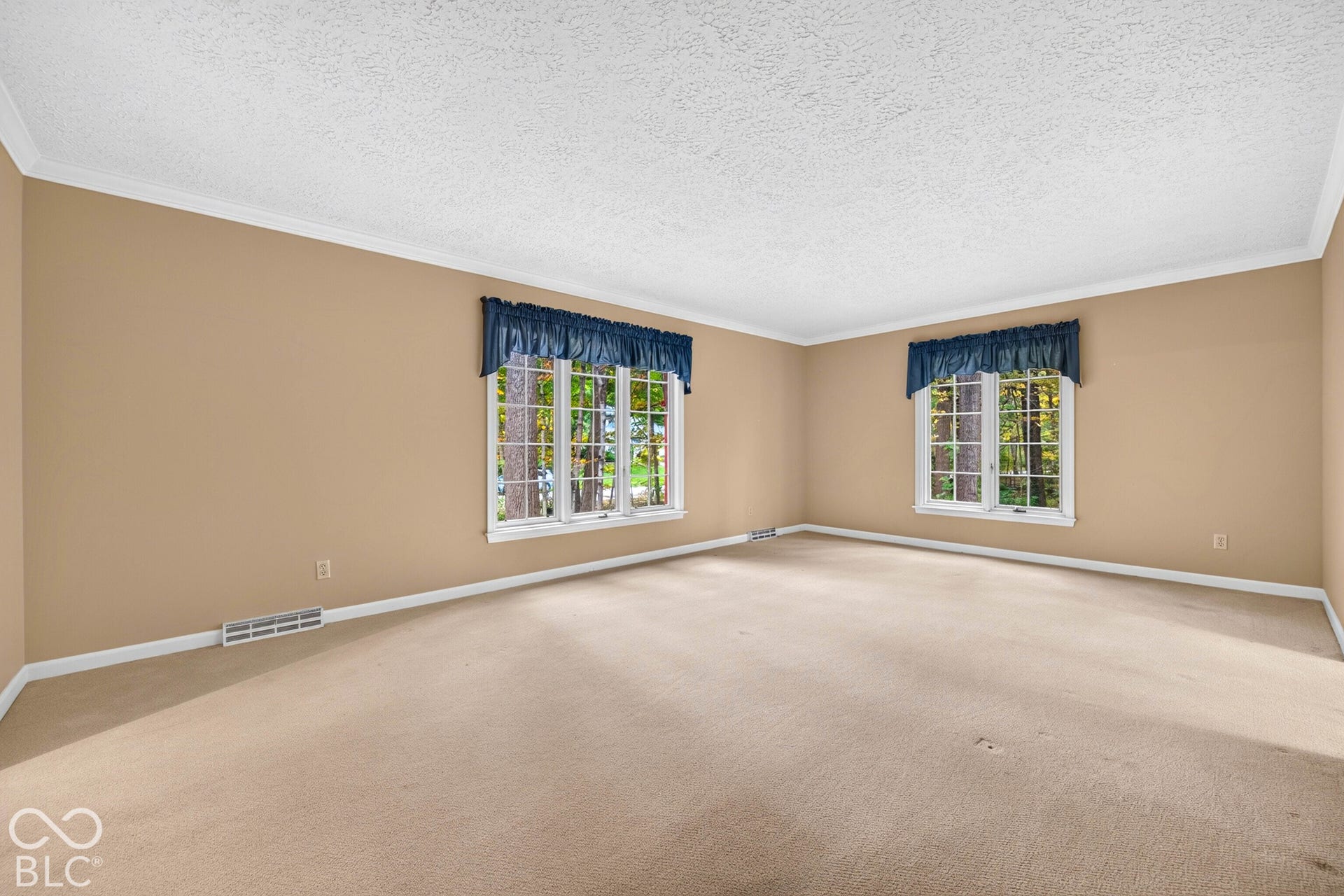 Neutral-toned interior featuring wall-to-wall carpeting, multi-pane windows with grid detailing, and white crown molding