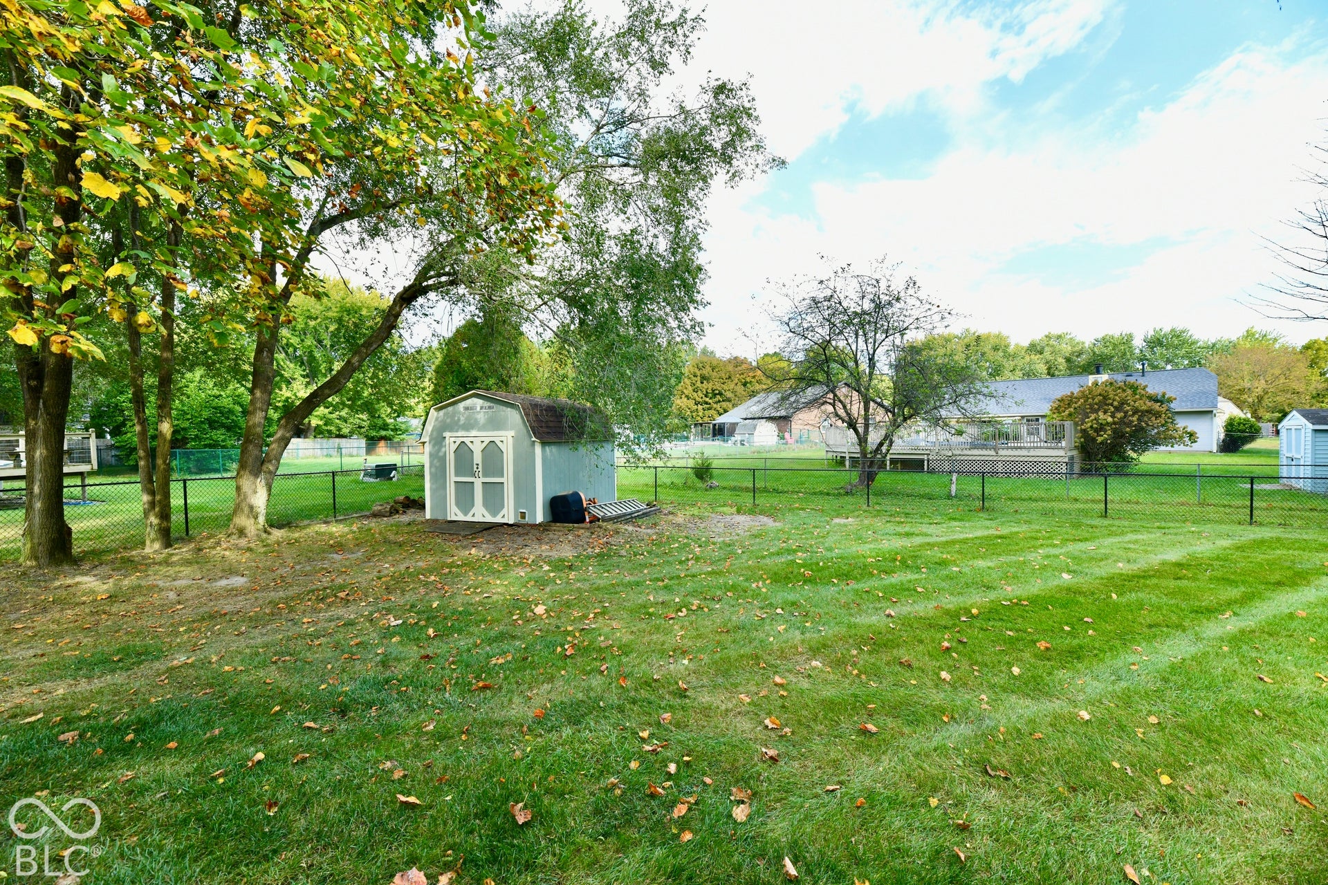 Spacious backyard featuring a manicured lawn, perimeter chain-link fencing, mature trees, and a detached storage shed