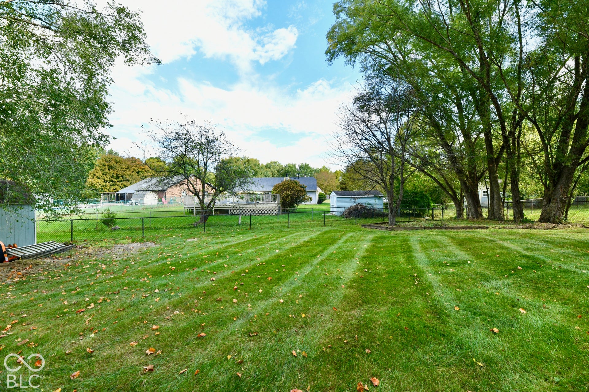 Expansive backyard featuring a fenced perimeter, mature trees, storage shed, and open green space