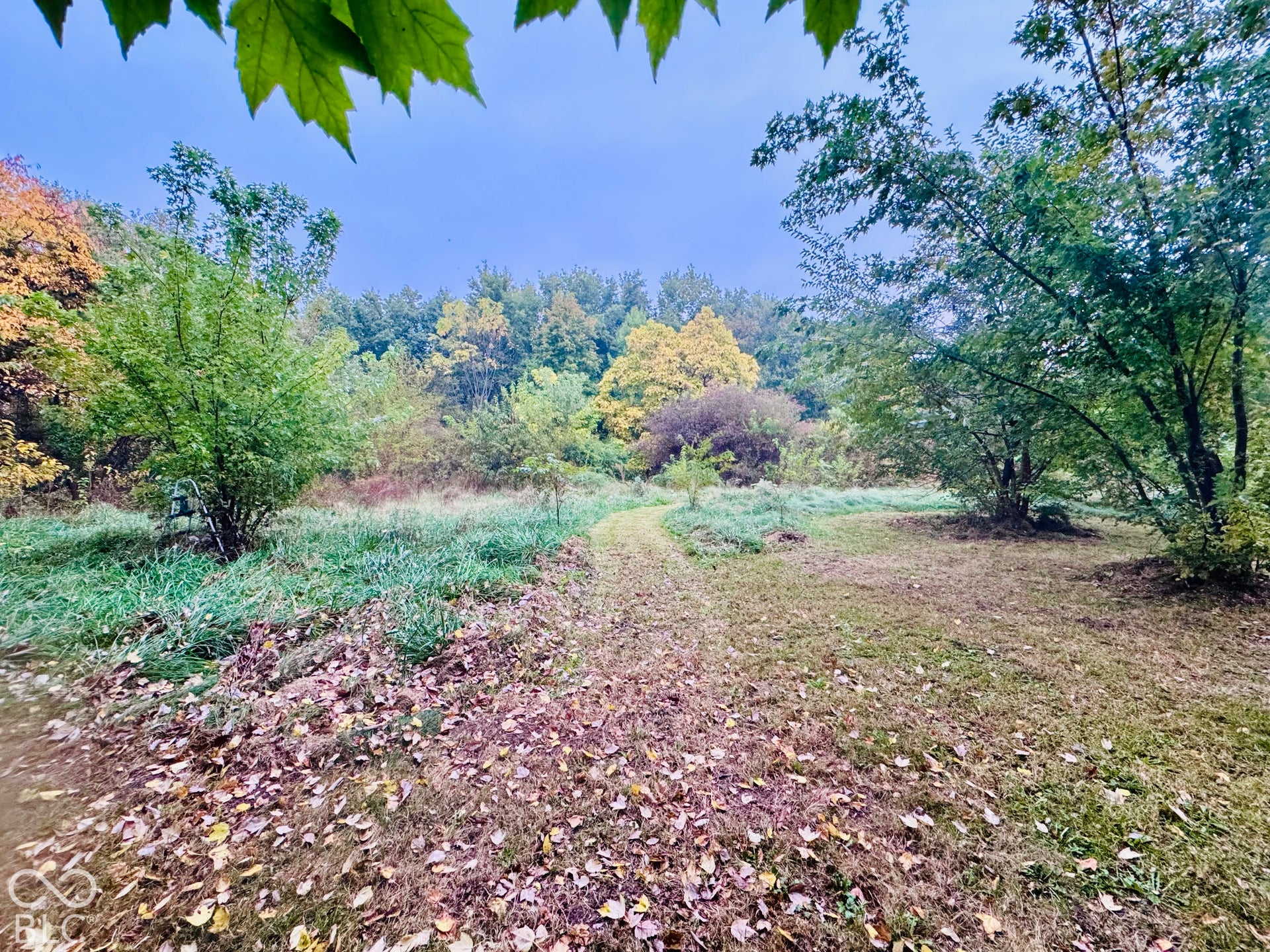 4550 W Grassy Road, Jamestown, IN 46147