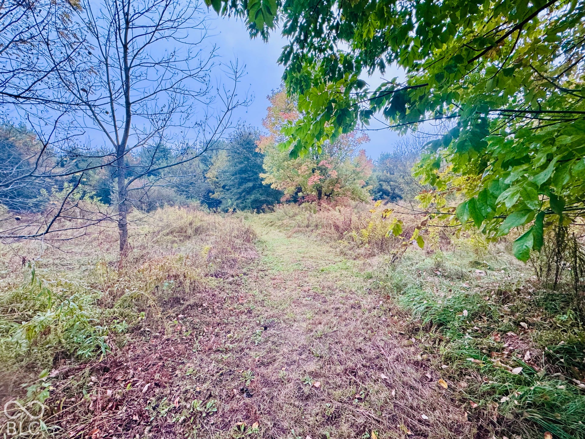 4550 W Grassy Road, Jamestown, IN 46147
