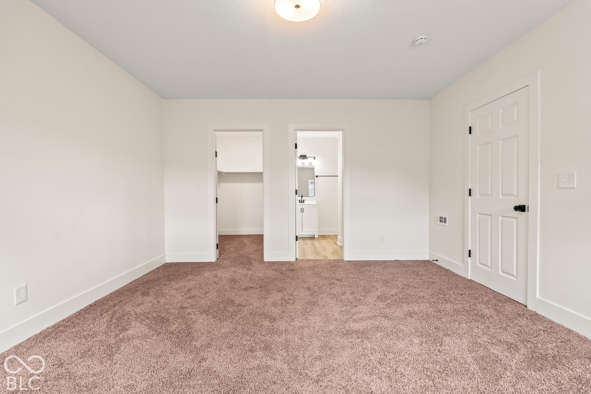 Neutral-toned carpeting, flush-mount ceiling lighting, and six-panel interior doors
