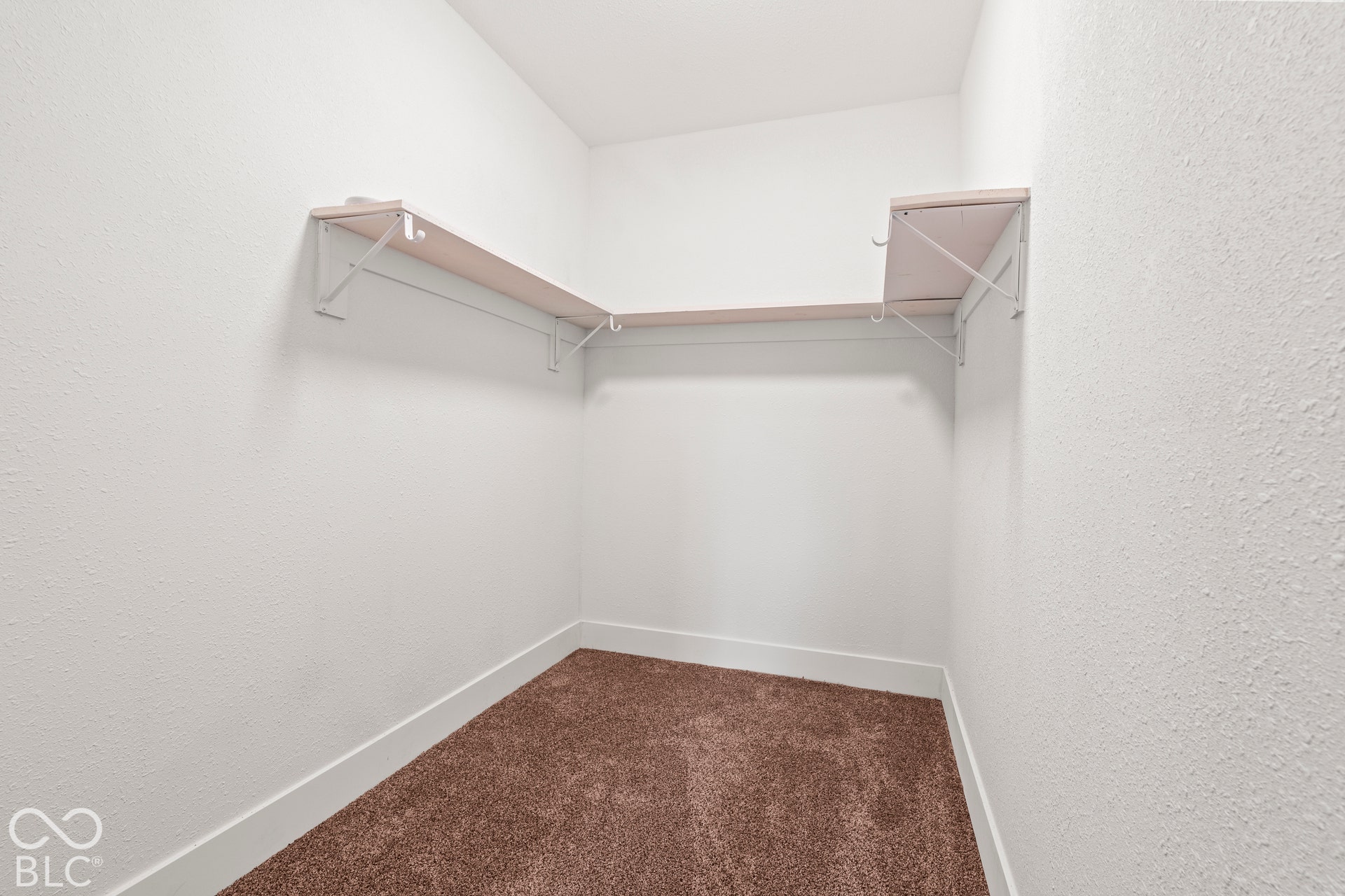 Walk-in storage area featuring carpeted flooring and white wall-mounted shelving units