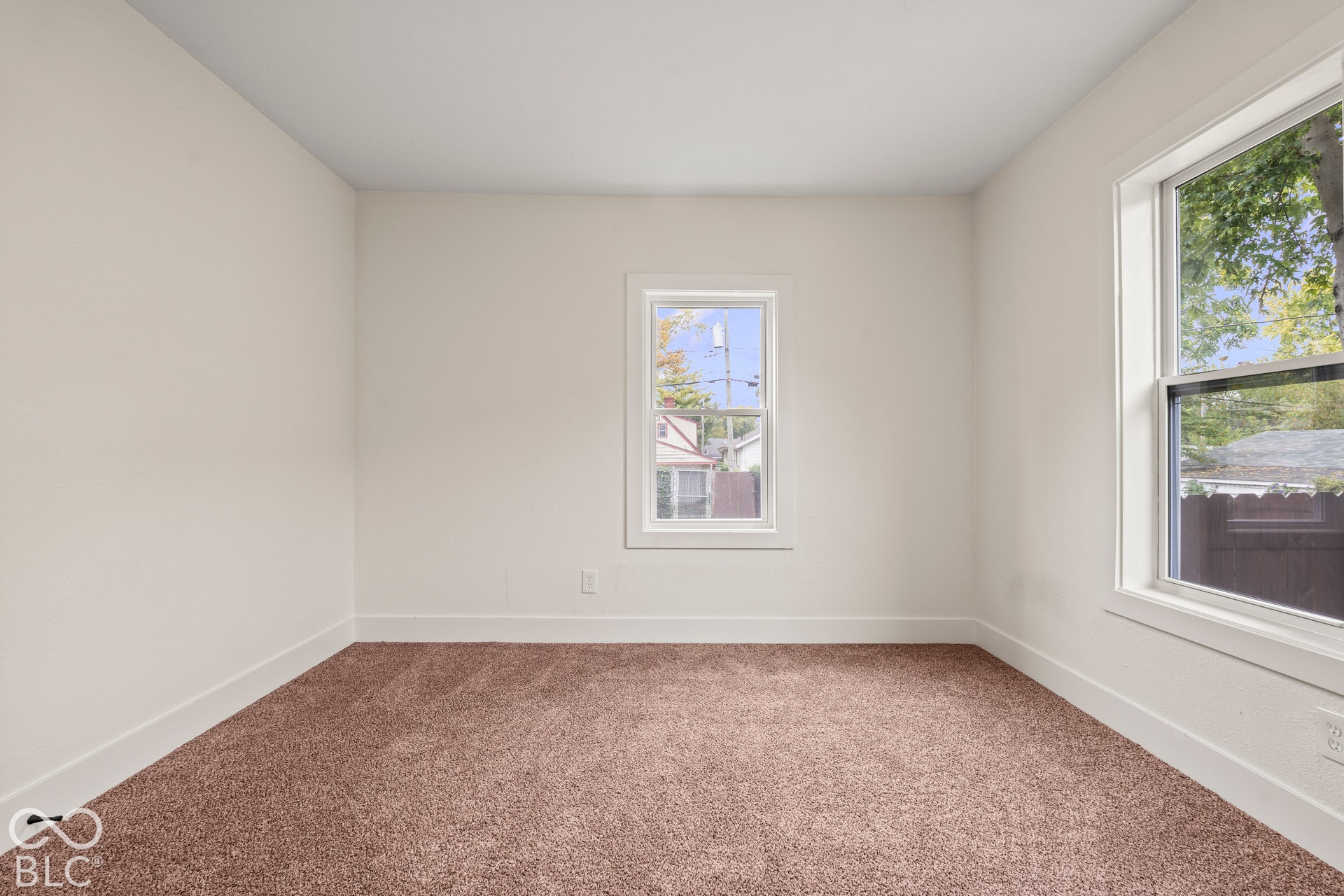 Interior space featuring neutral-toned carpeting, crisp white wall finishes, and double-pane windows with white trim