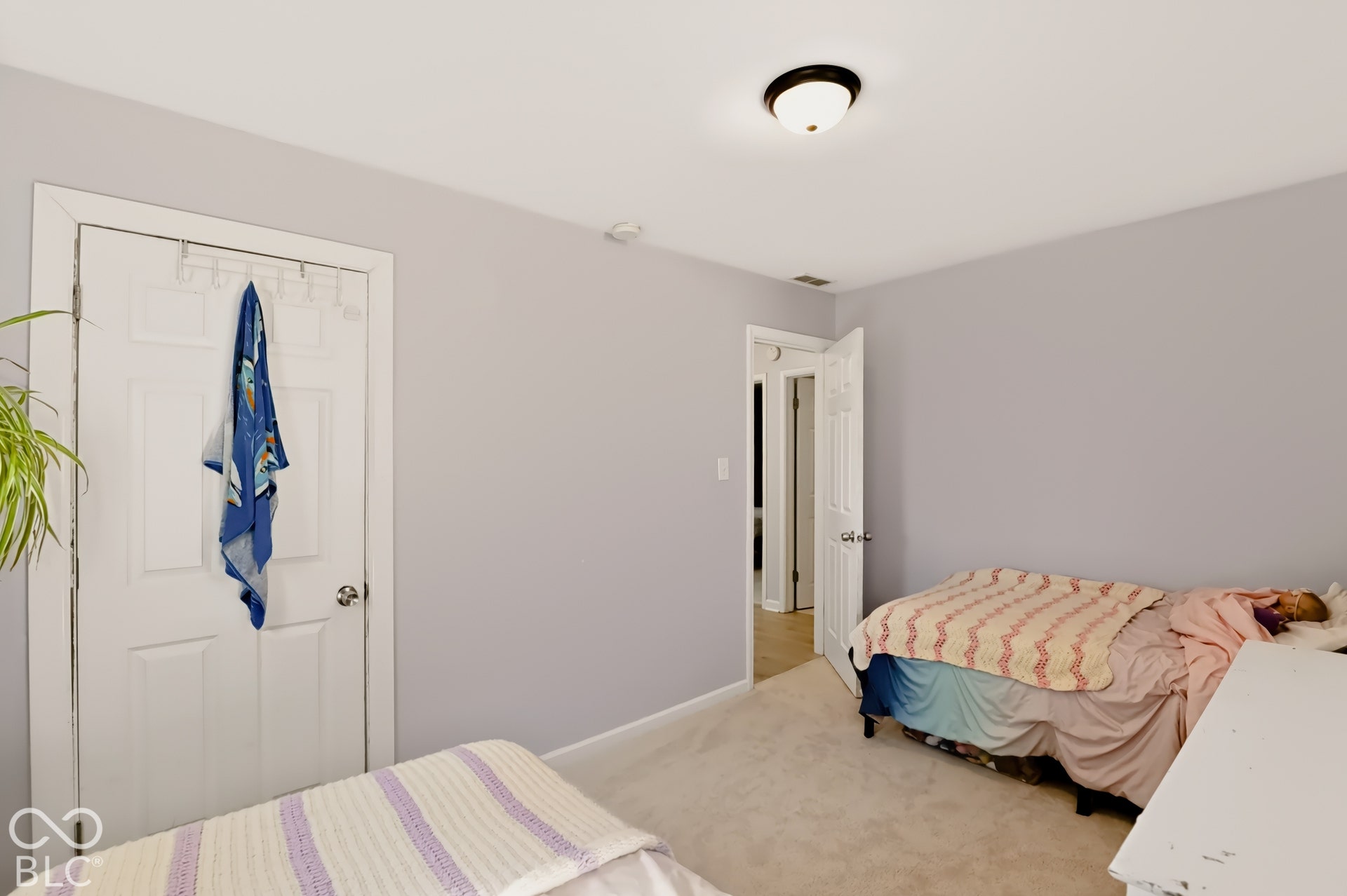 Neutral wall paint, carpeting, and flush-mount ceiling lighting