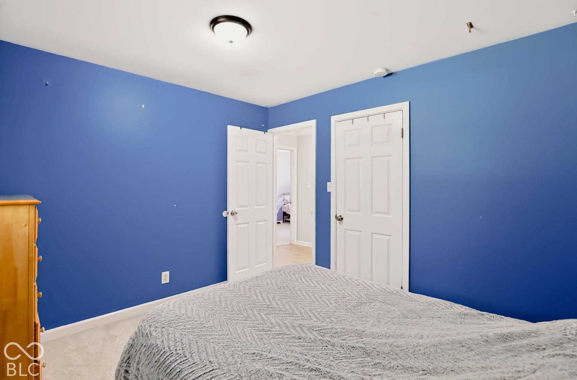 Interior space featuring white six-panel interior doors, neutral carpeting, and a flush-mount ceiling light fixture