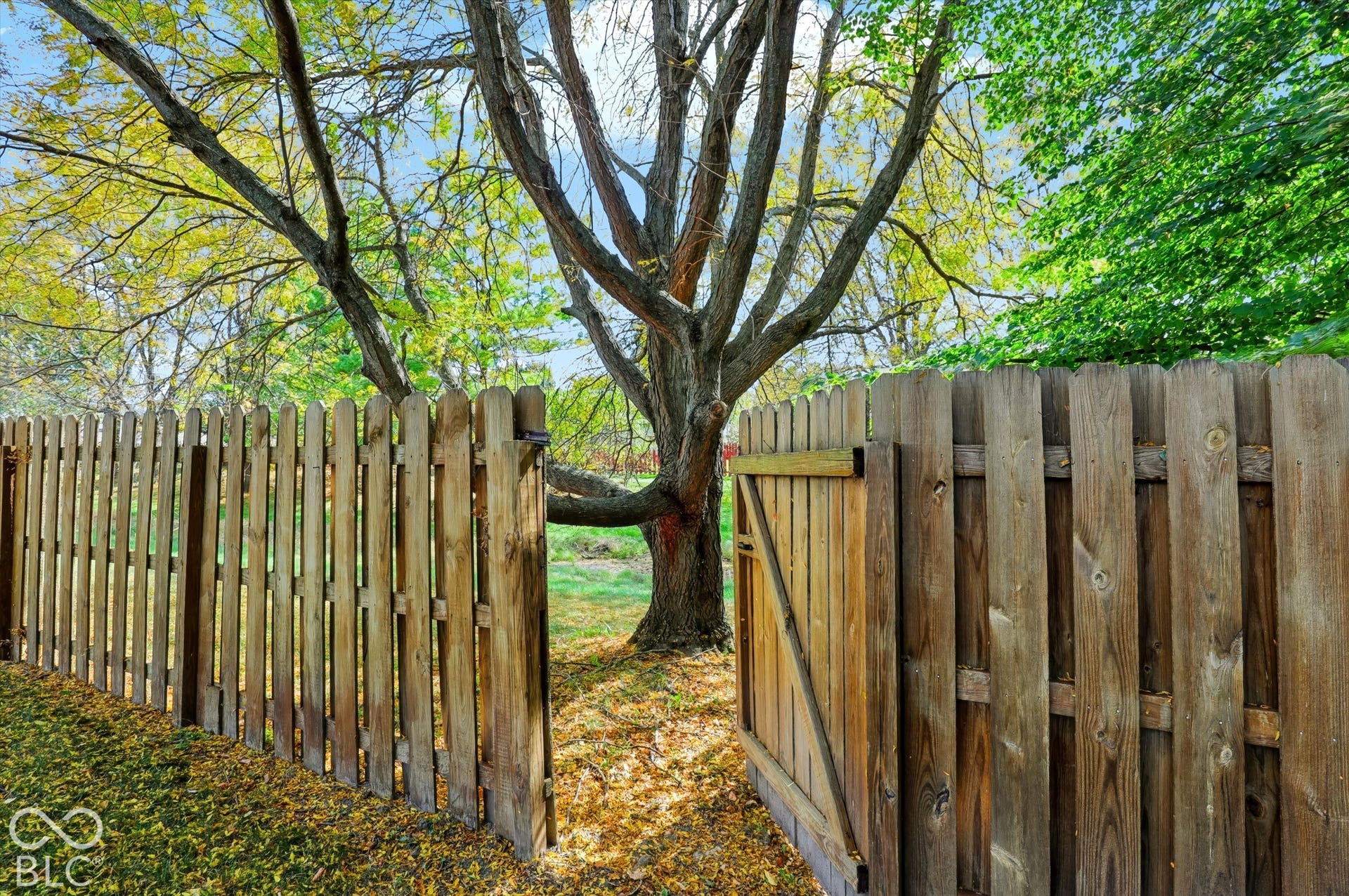 517 E Pine Ridge Drive, Westfield, IN 46074
