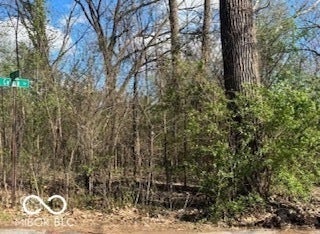 Wooded corner lot featuring mature trees and established natural vegetation