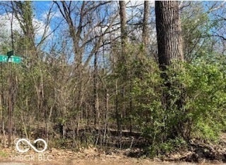Wooded lot featuring mature trees and established natural vegetation