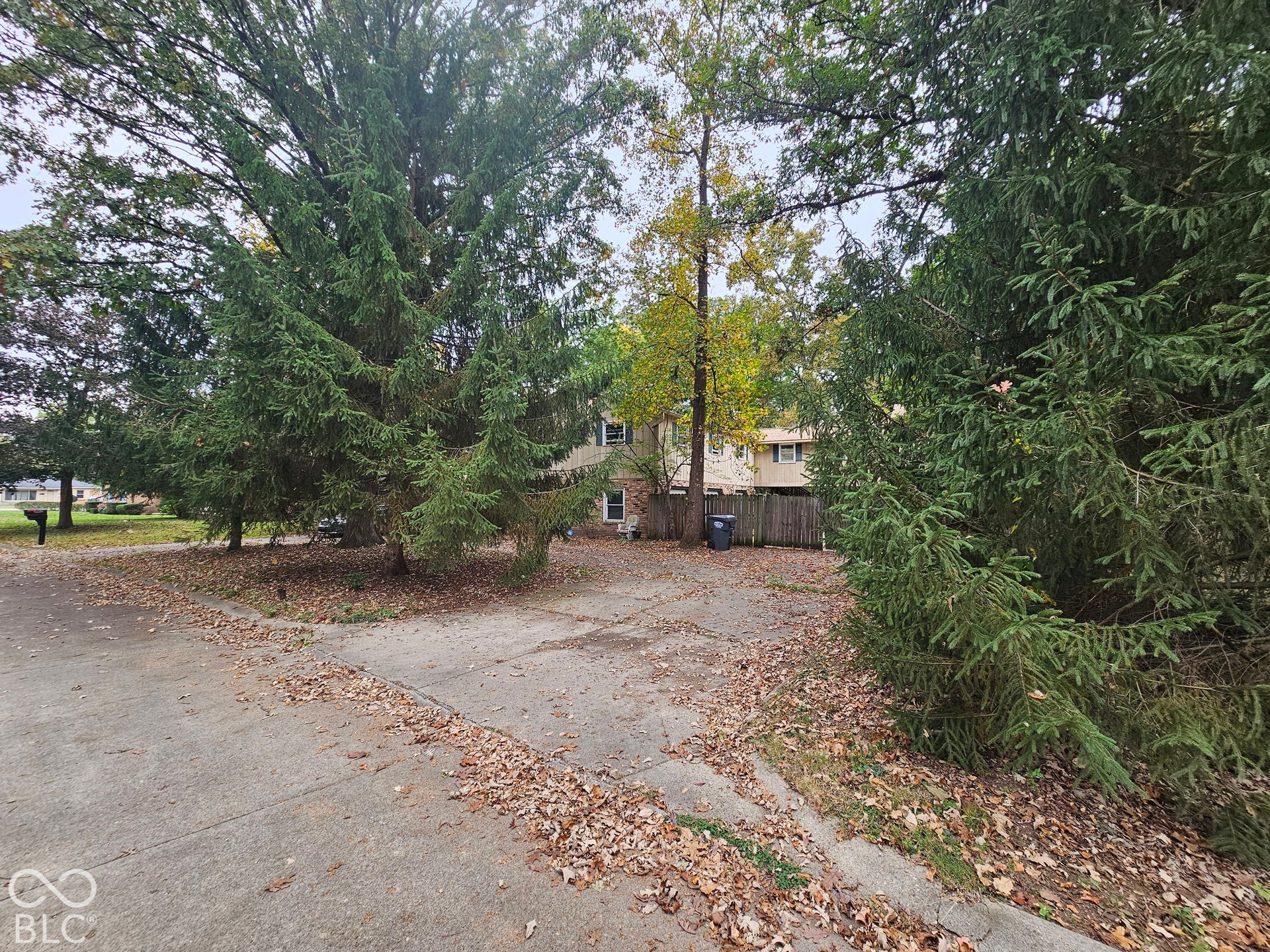 Concrete driveway providing off-street parking, mature conifer trees, and established deciduous landscaping