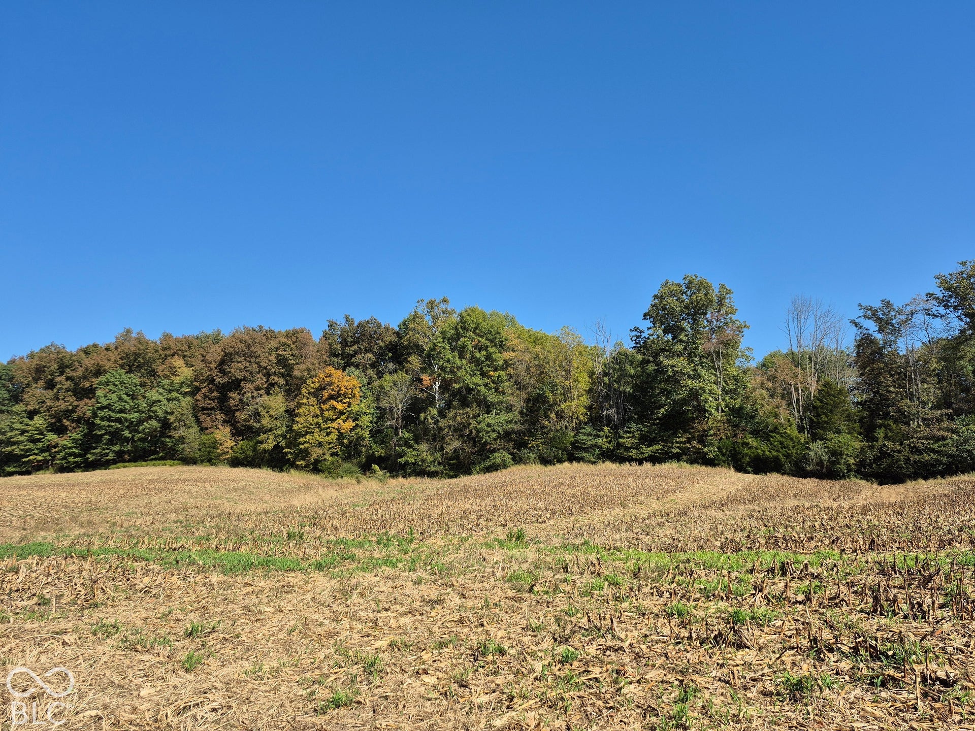 0 N County Road 900 W, Elizabethtown, IN 47232 Expansive acreage featuring rolling topography and a backdrop of mature, diverse tree lines