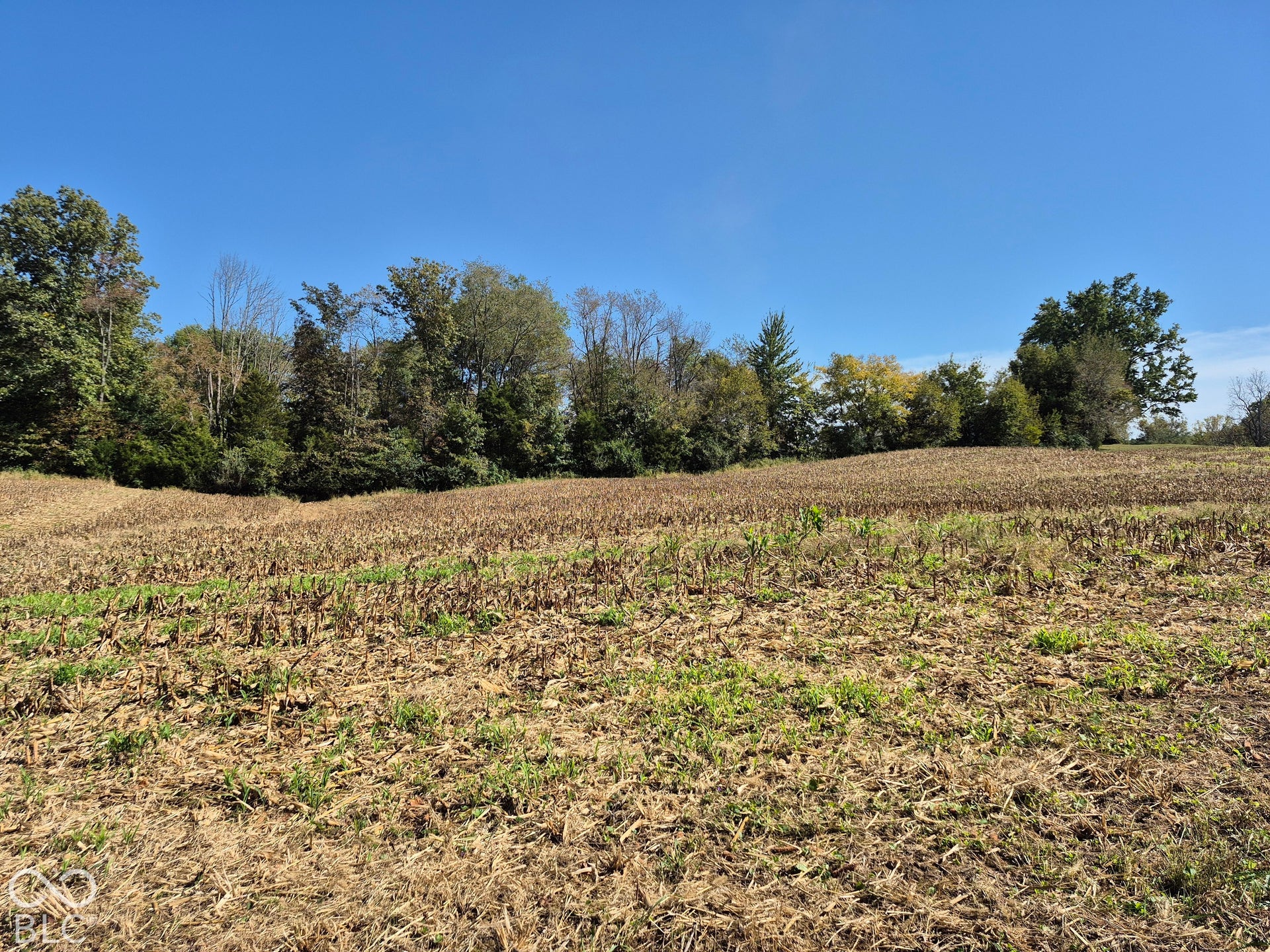 0 N County Road 900 W, Elizabethtown, IN 47232 Expansive open acreage featuring varied topography and a dense perimeter of mature trees