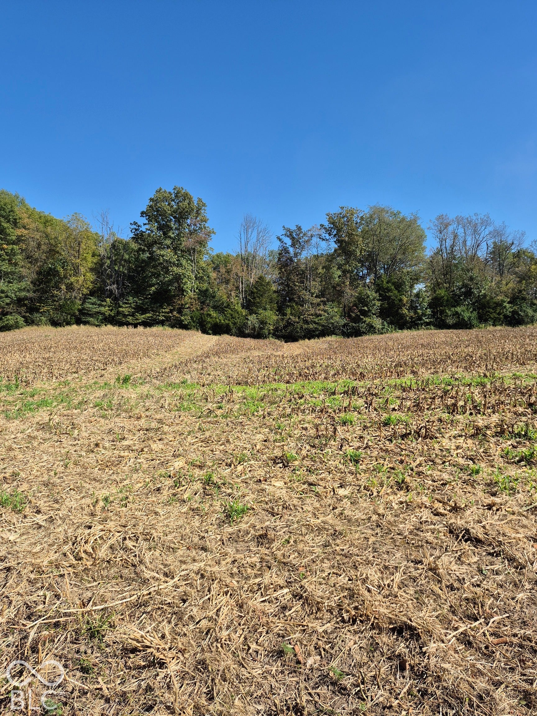 0 N County Road 900 W, Elizabethtown, IN 47232 Expansive acreage featuring open fields and a perimeter of mature trees