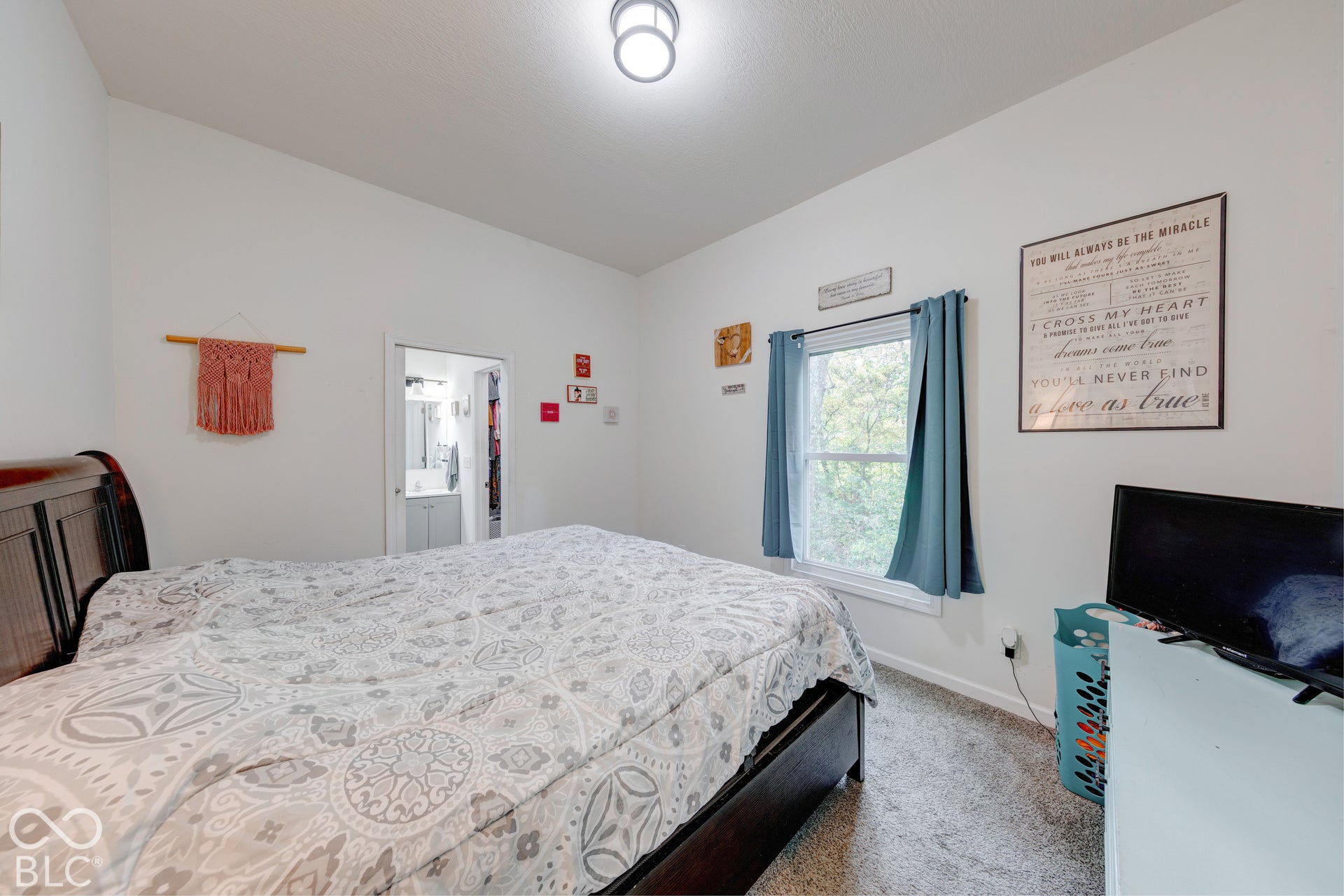 Neutral-toned bedroom featuring wall-to-wall carpeting, an overhead drum light fixture, and a single-hung window with exterior tree foliage