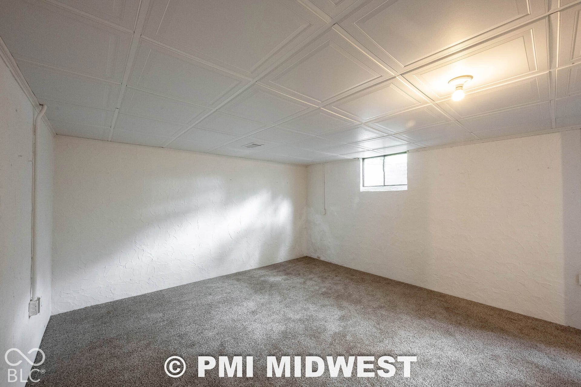 Finished space featuring a coffered-style ceiling, neutral wall-to-wall carpeting, white textured walls, and a single-pane window
