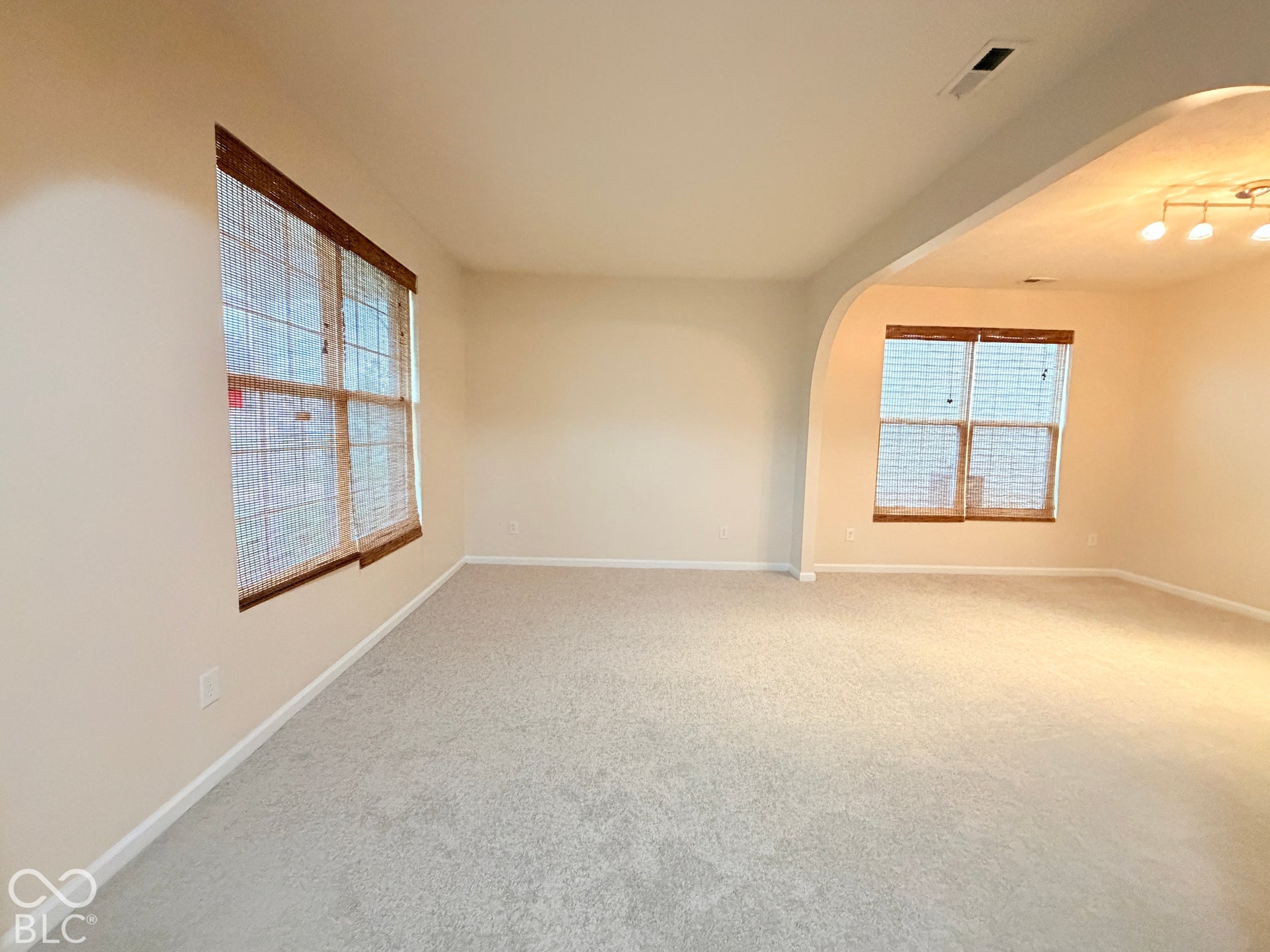 Neutral carpeted flooring, arched architectural opening, and multi-pane windows with integrated wooden-finish trim