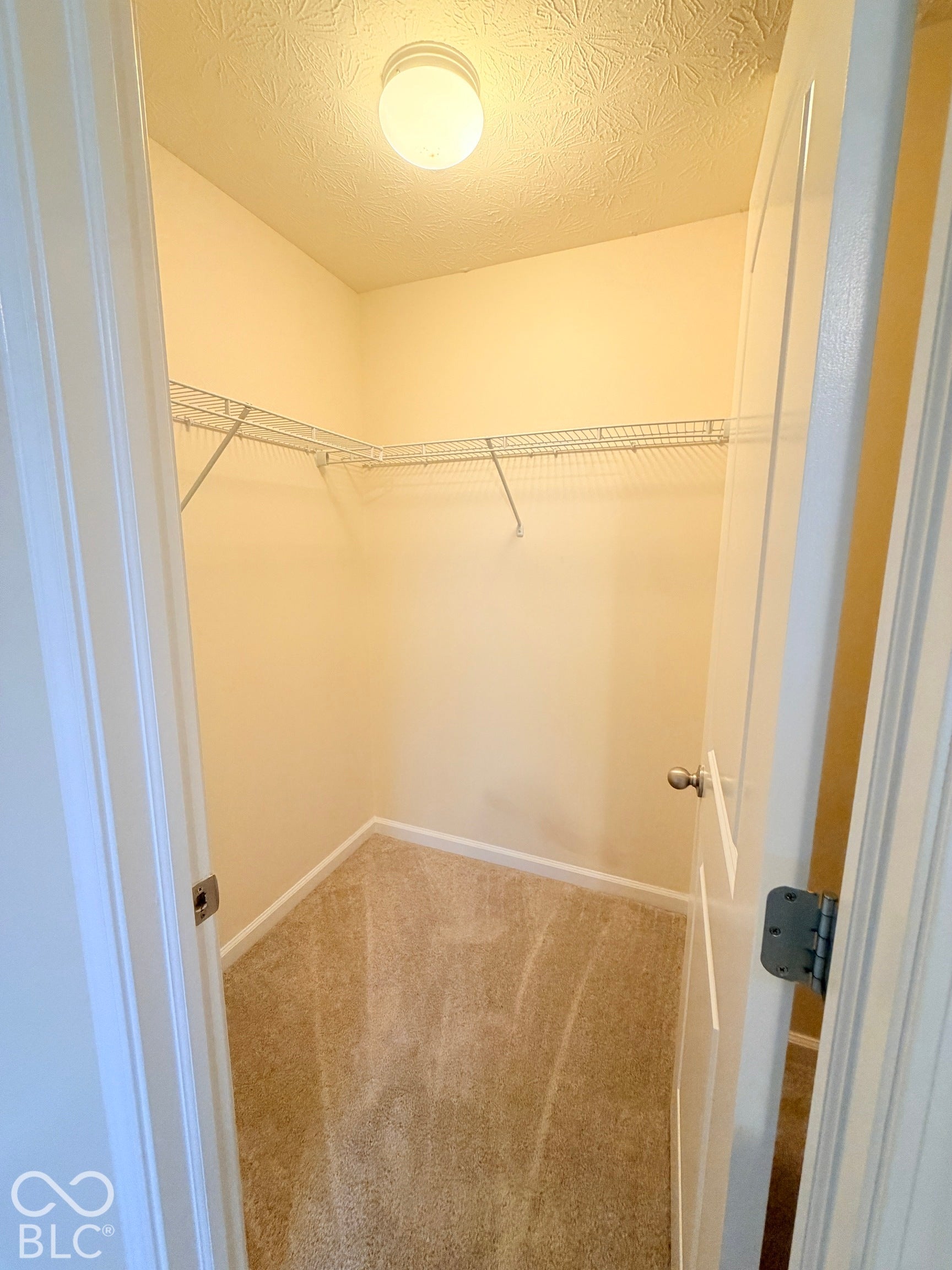 Walk-in storage space featuring neutral carpeting, integrated wire shelving, and a ceiling-mounted light fixture