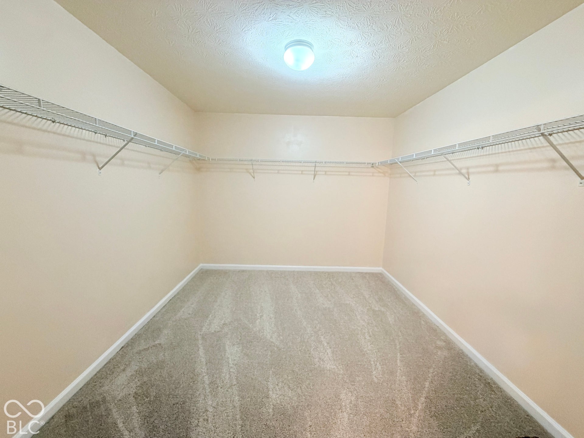 Walk-in closet featuring wall-to-wall carpeting and wrap-around wire shelving with integrated clothing rods