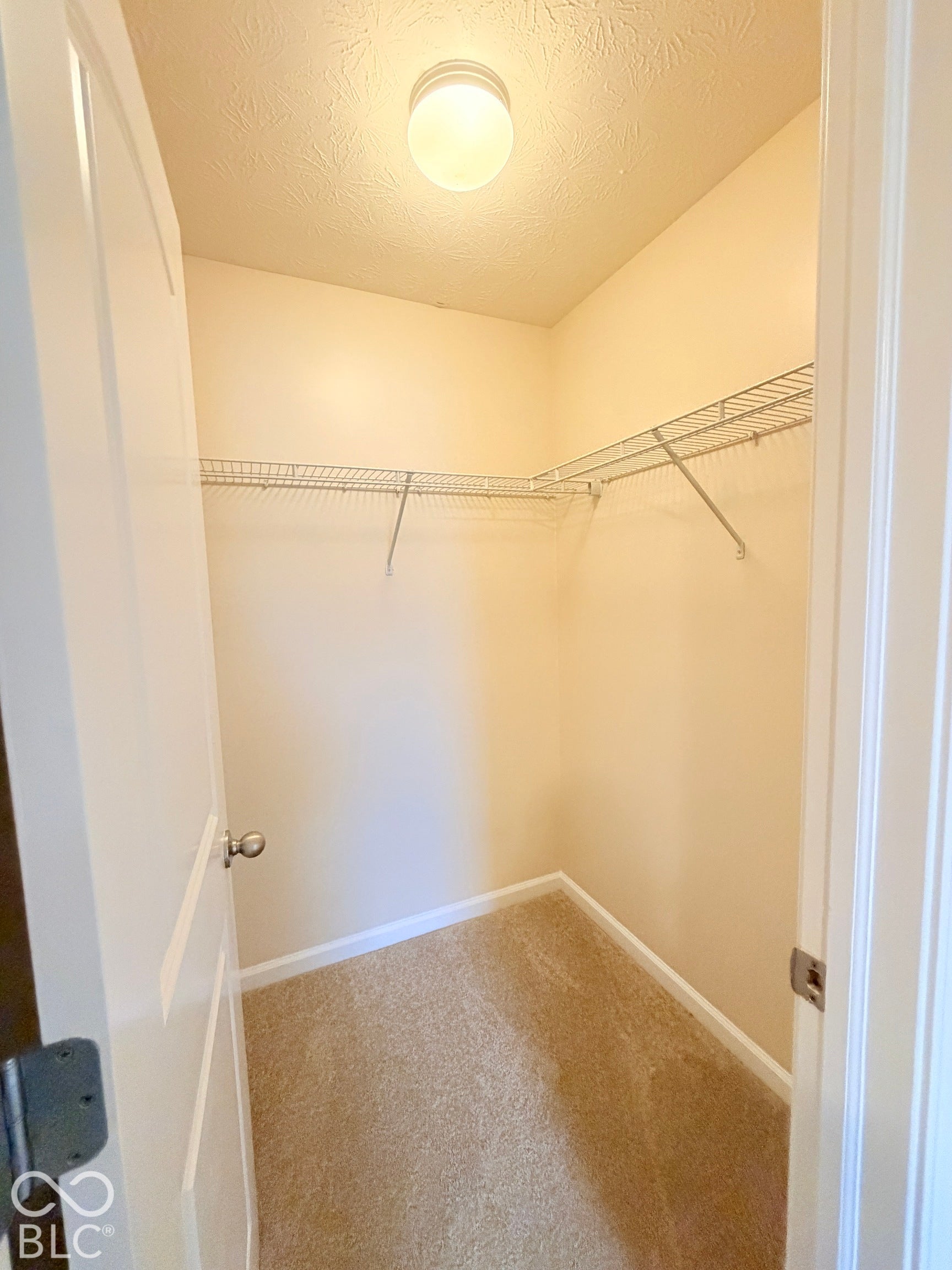 Storage space featuring carpeted flooring, wall-mounted wire shelving, and a central ceiling light fixture