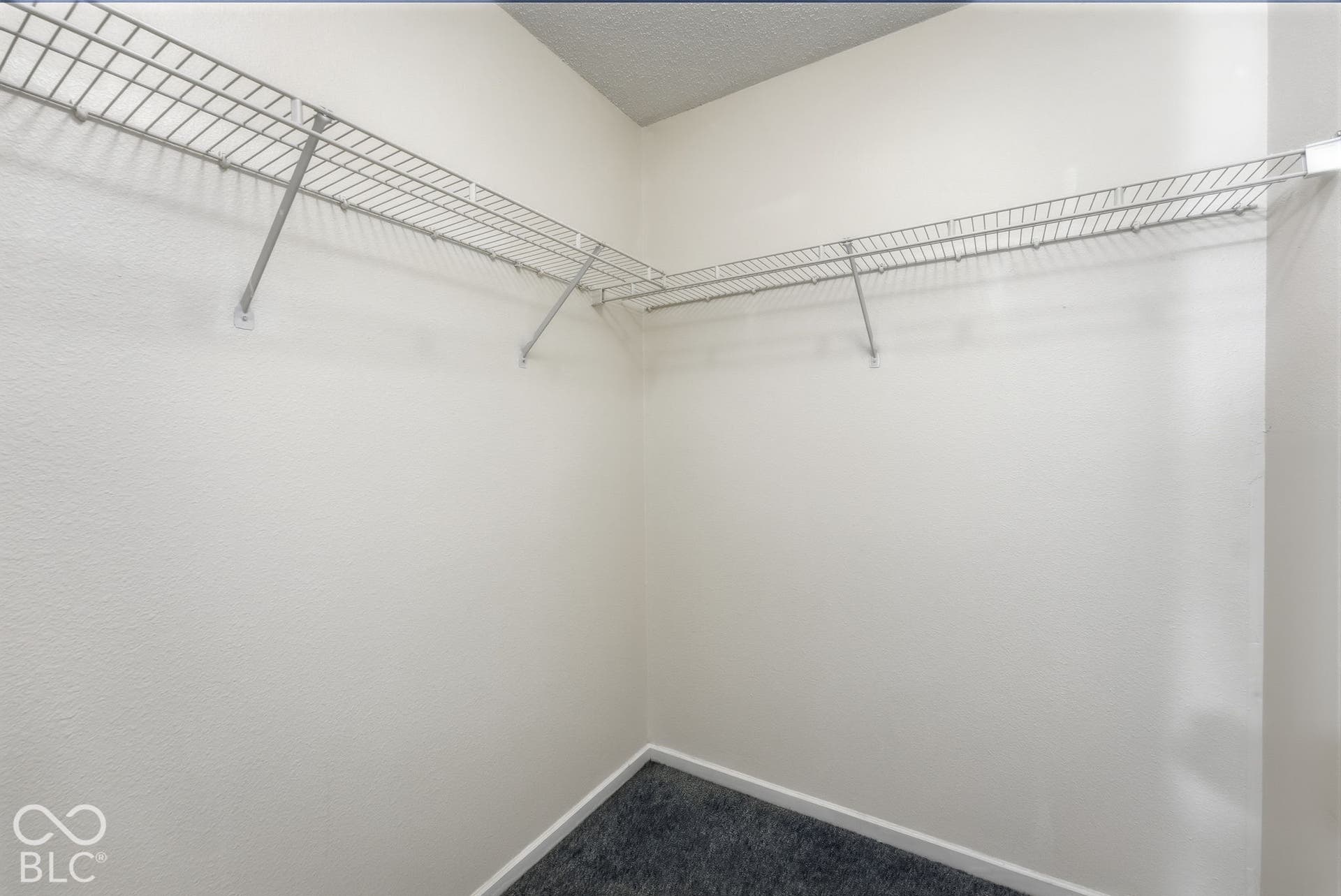 Storage area featuring white wall-mounted wire shelving and neutral carpeting