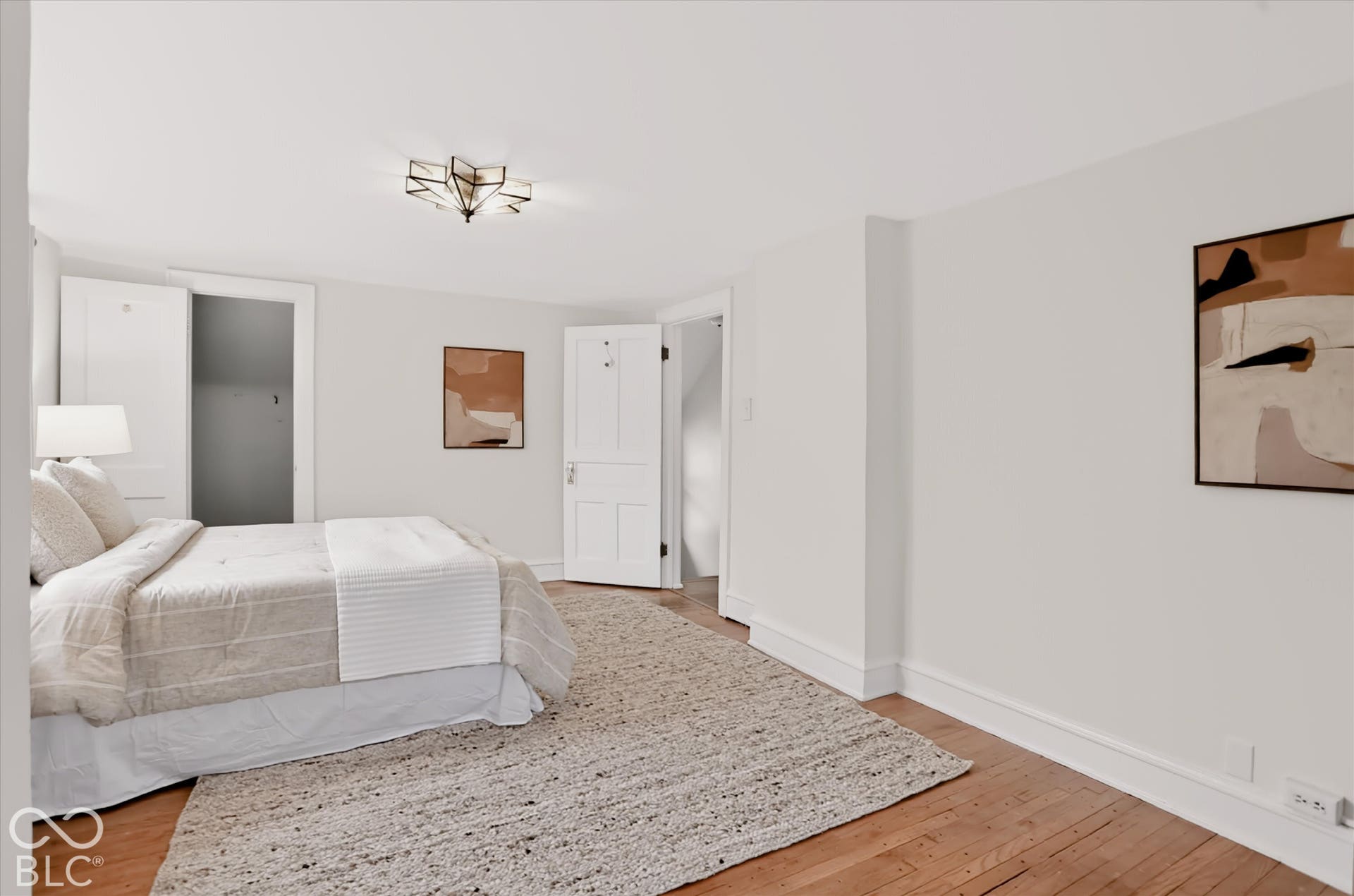 Room interior featuring wood-finish flooring, a geometric multi-point flush-mount light fixture, and two panel doors
