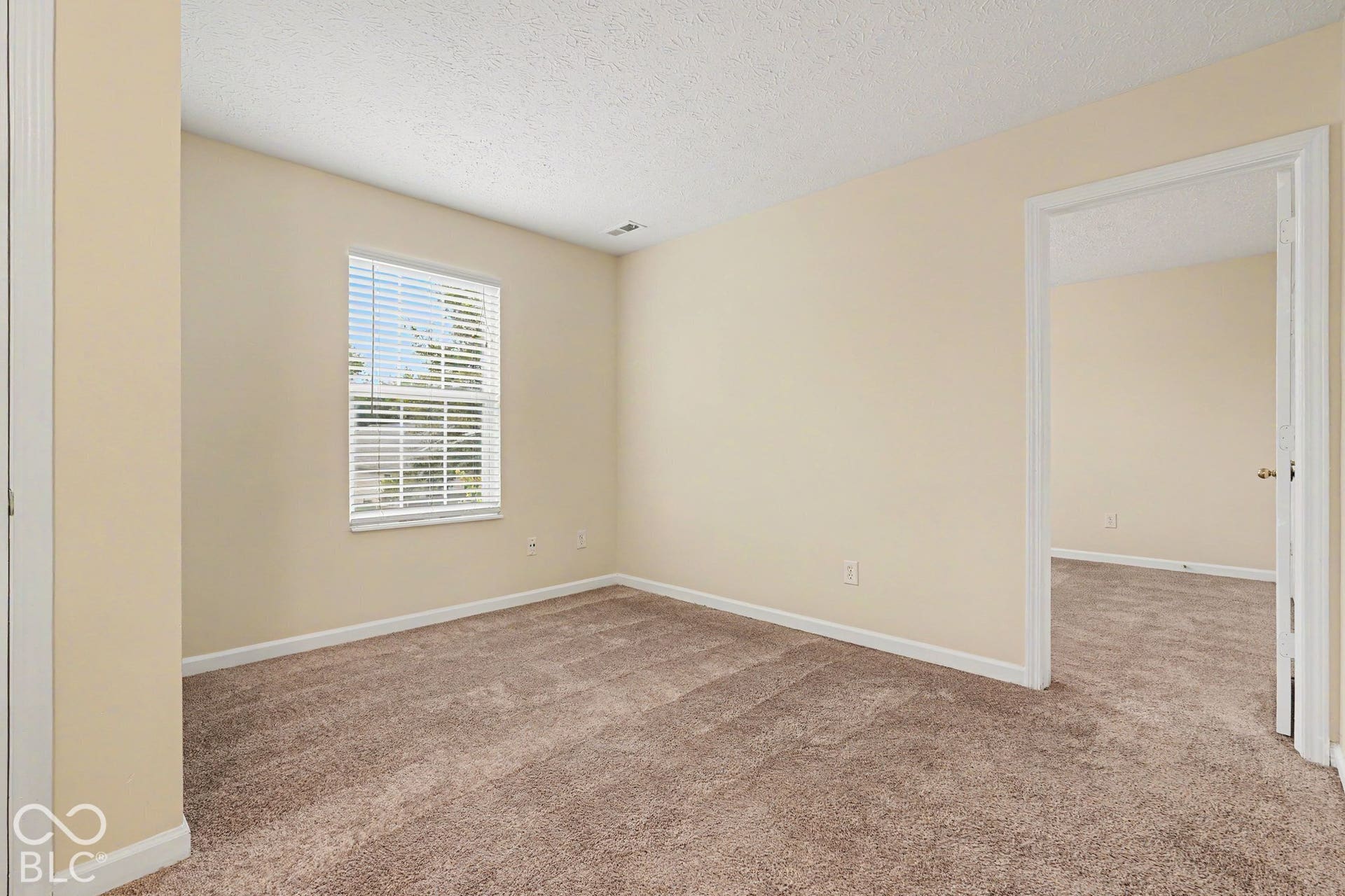 Neutral interior featuring wall-to-wall carpeting and a single-hung window with blinds