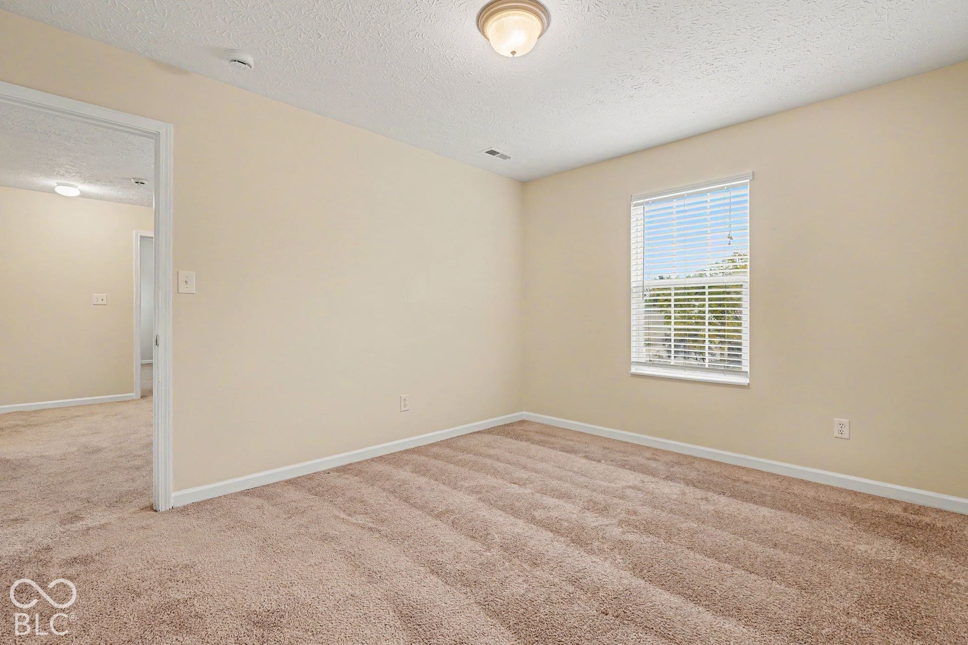Neutral interior featuring wall-to-wall carpeting, a single window with horizontal blinds, and a dome-style ceiling light fixture