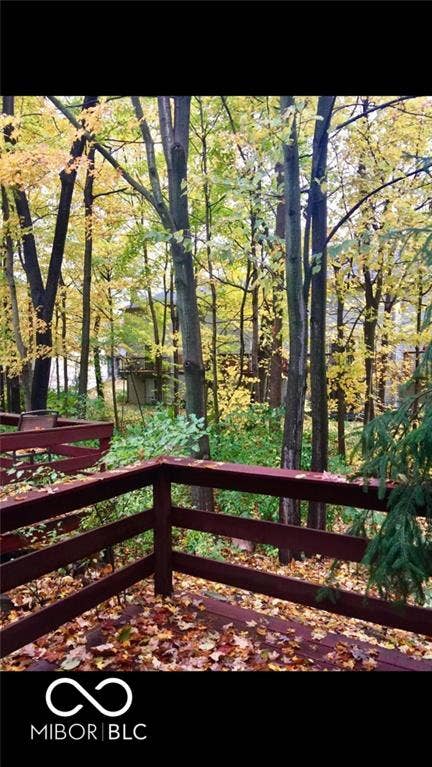 View from Deck