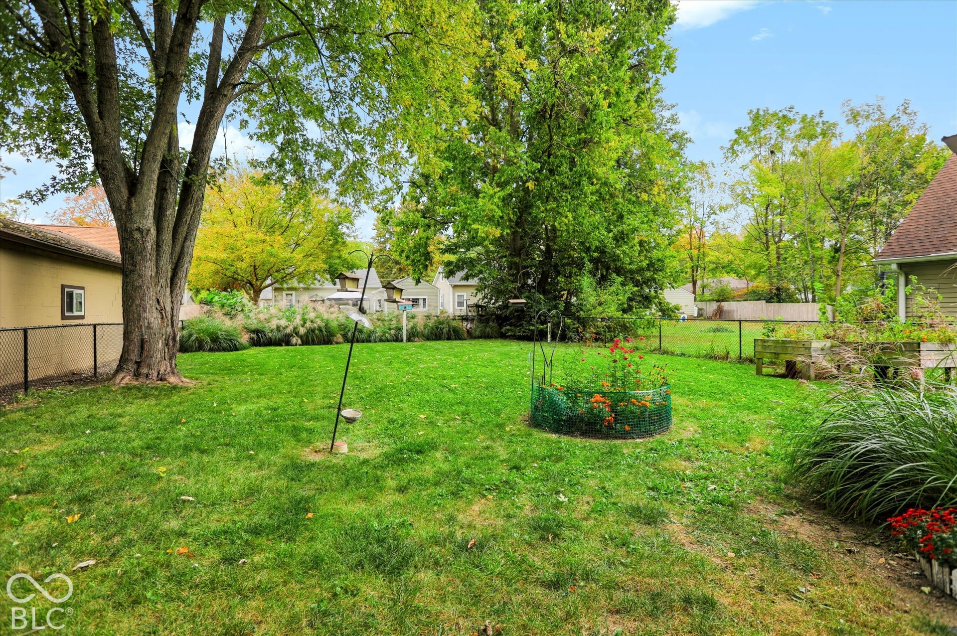 304 W 4th Street, Greenfield, IN 46140 Expansive backyard featuring a grass lawn, mature trees, chain-link fencing, and raised garden beds