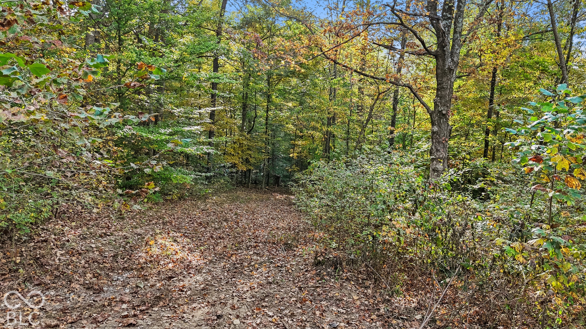 00 Lot 1 Salty Sage, Nashville, IN 47274