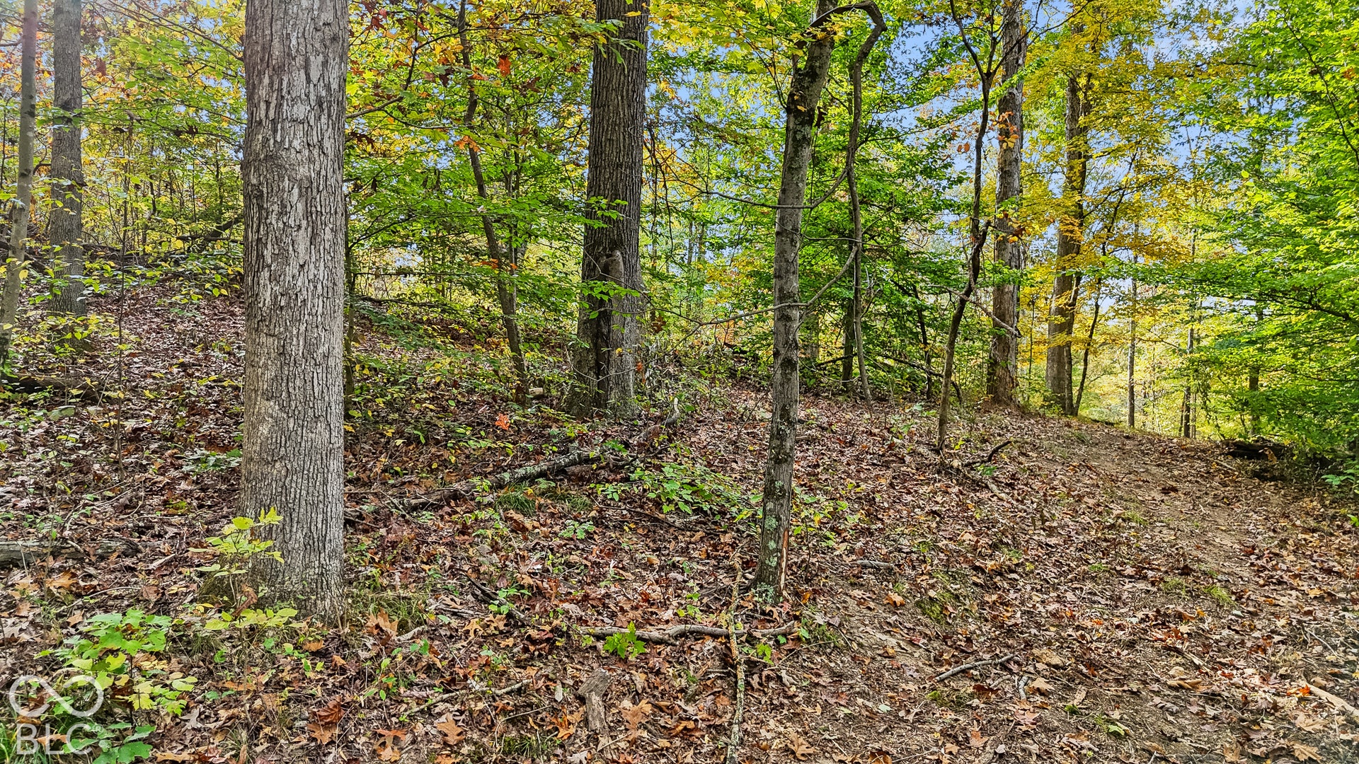 00 Lot 1 Salty Sage, Nashville, IN 47274