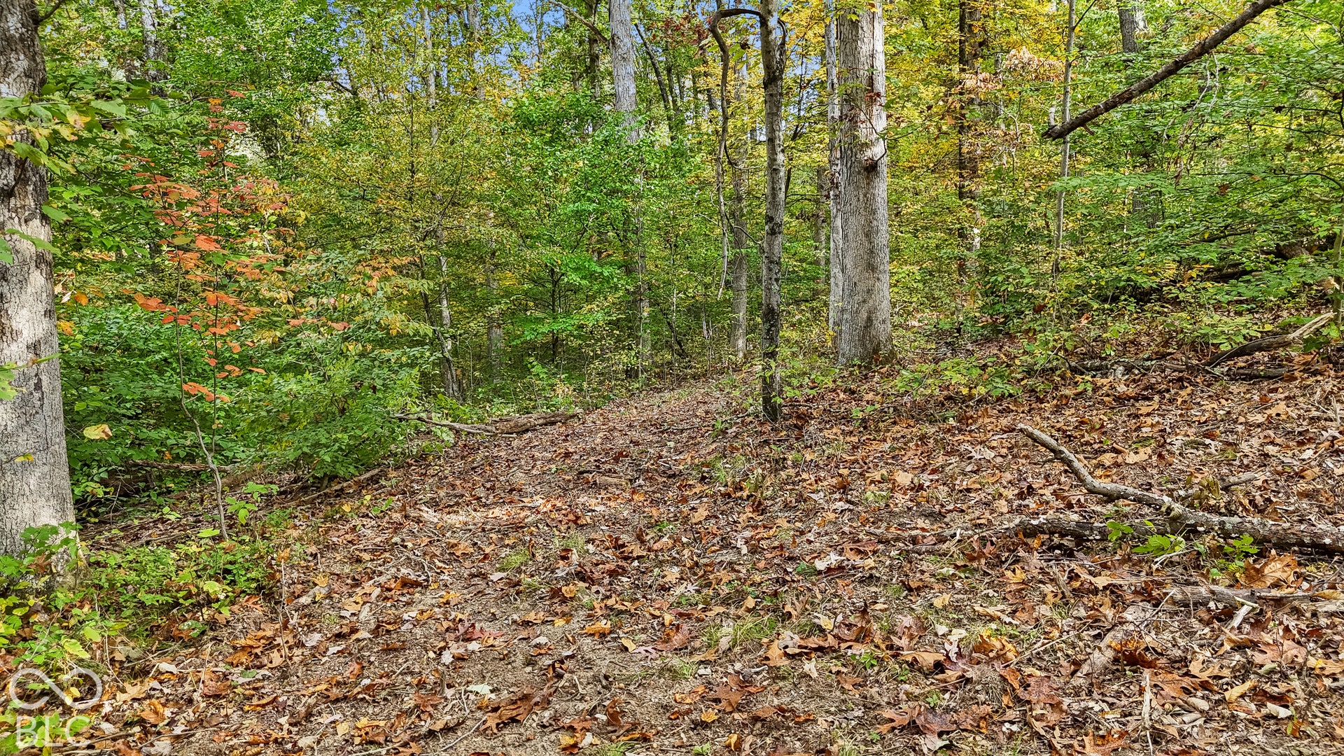 00 Lot 1 Salty Sage, Nashville, IN 47274