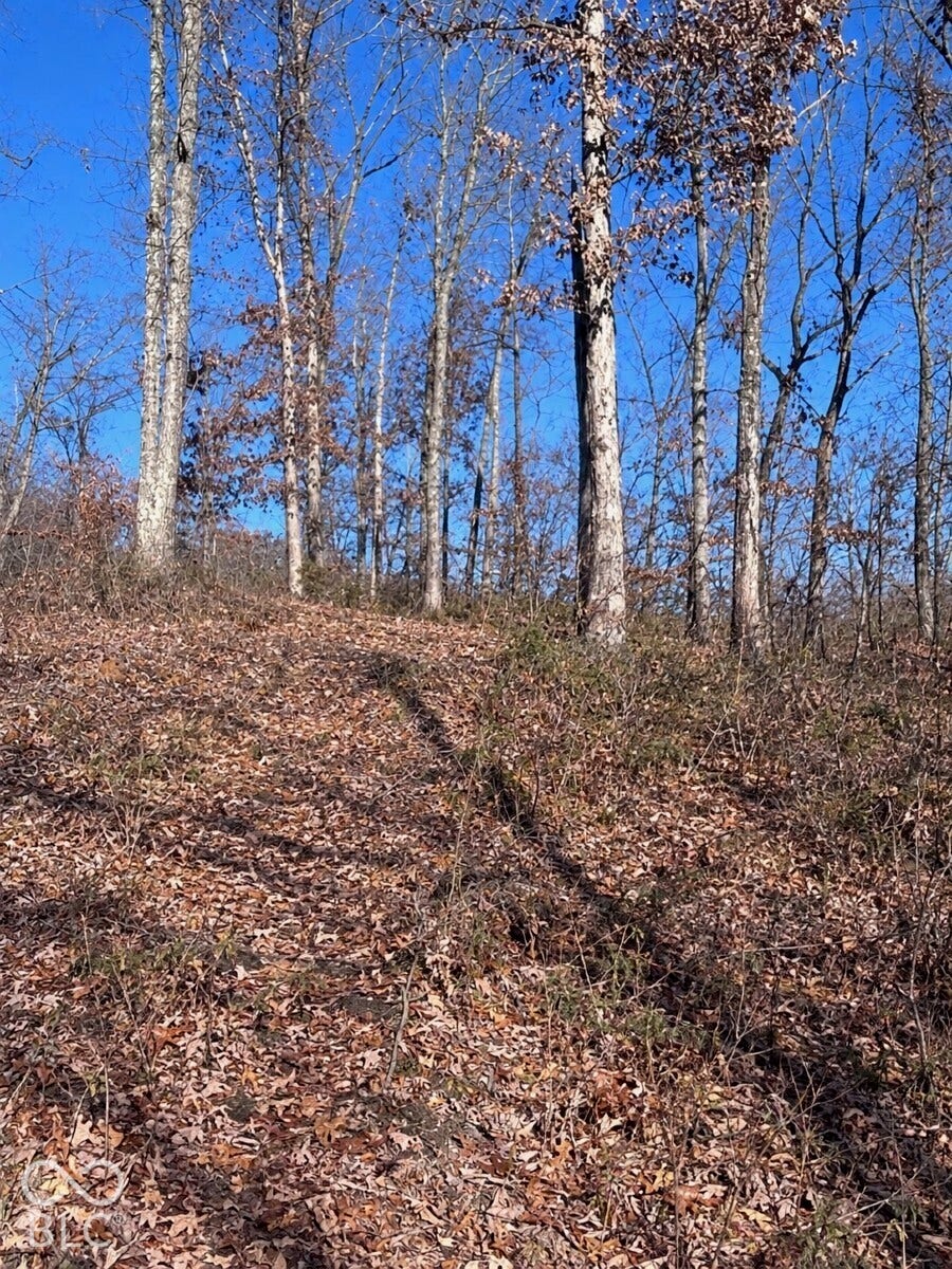 1625 State Road 46 W, Nashville, IN 47448