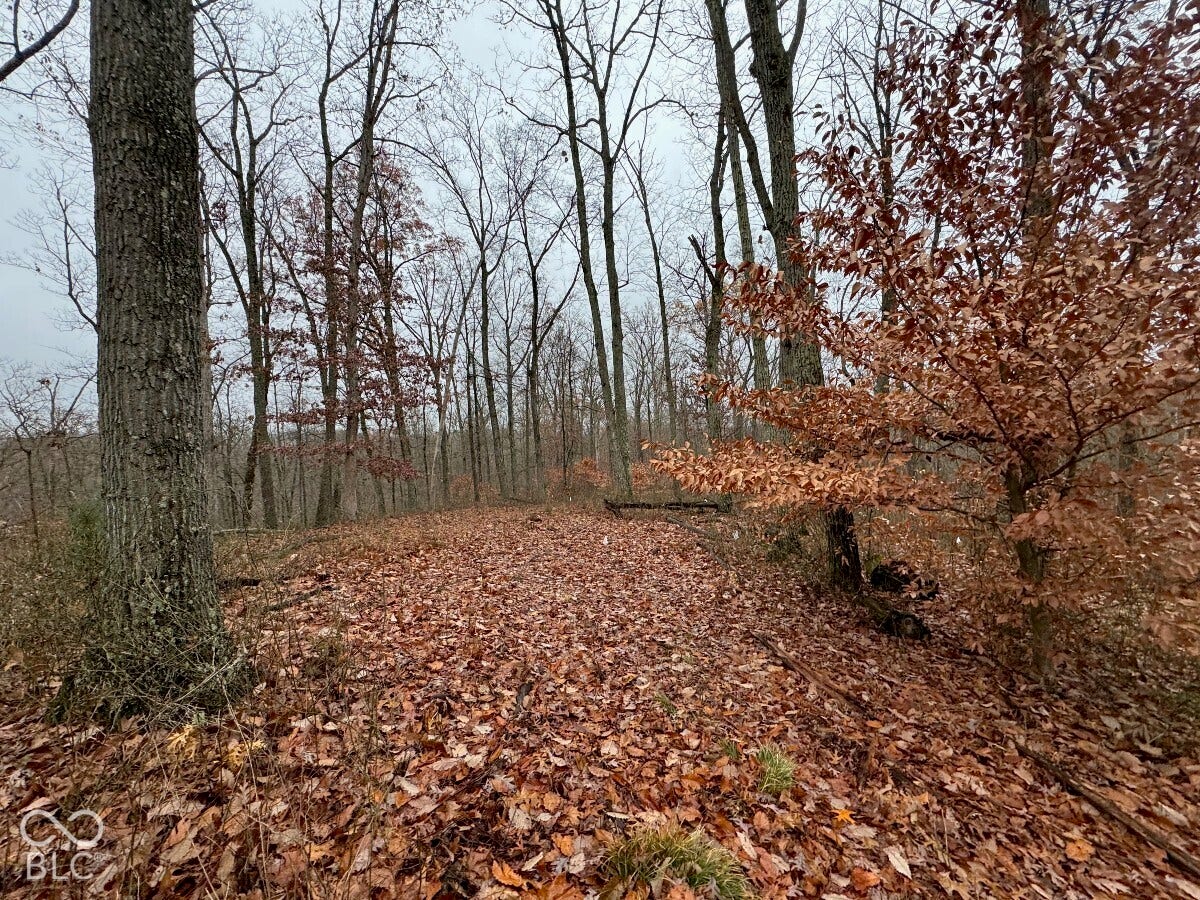 1625 State Road 46 W, Nashville, IN 47448