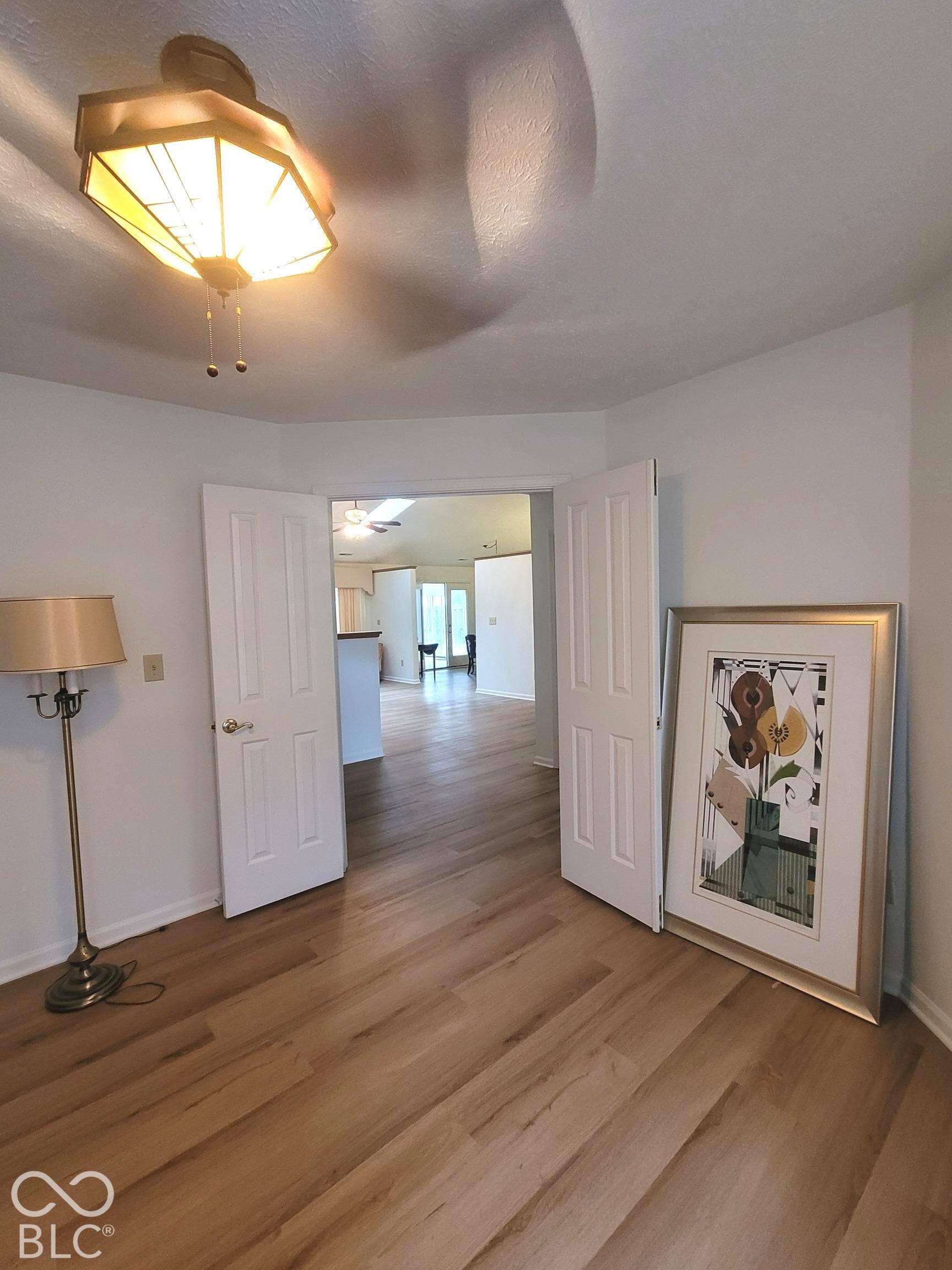 Wood-finish flooring, multi-panel double doors, and a geometric-style flush-mount ceiling light fixture