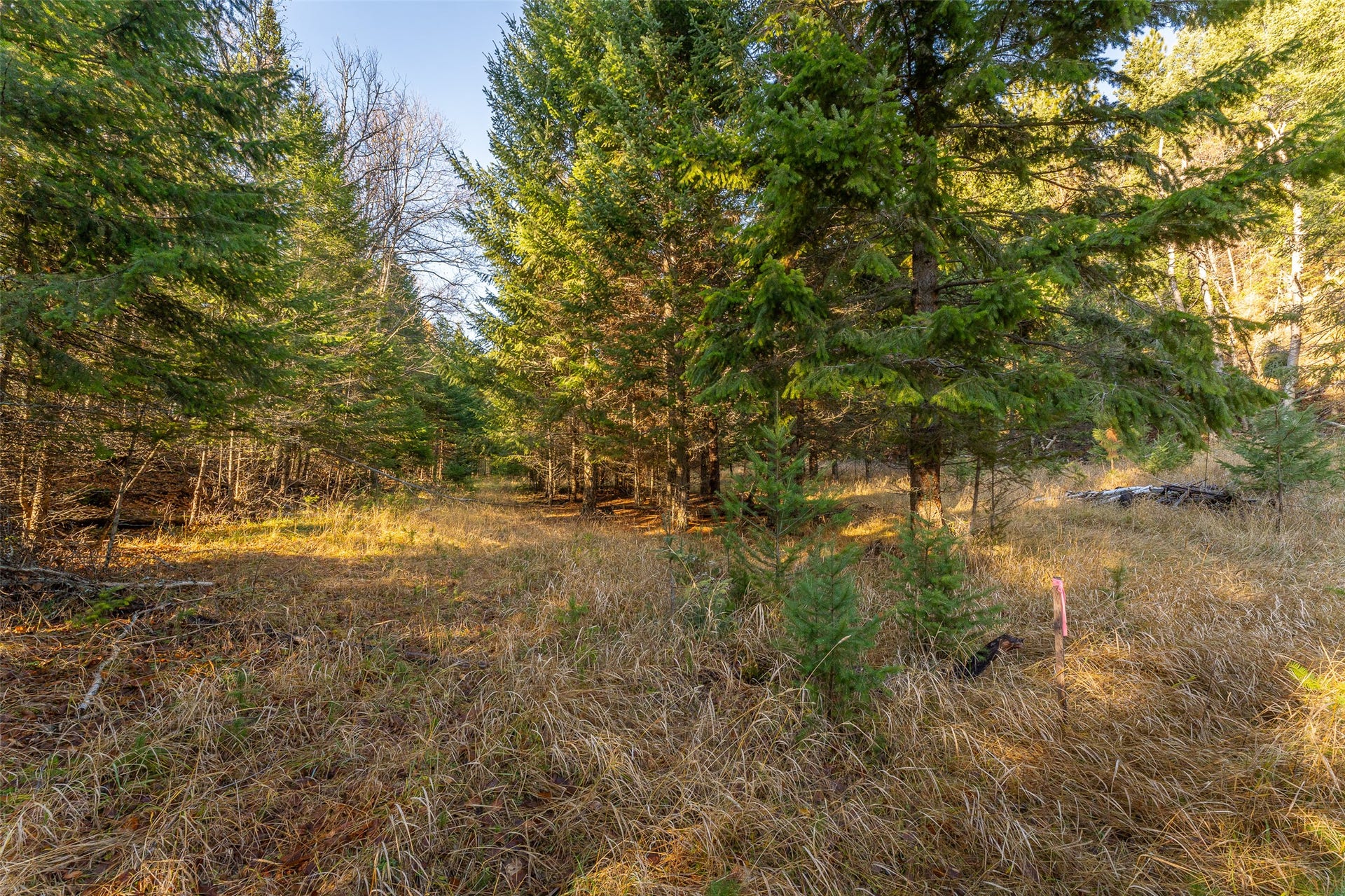 156 Peters Creek Way, Kalispell, MT 59901