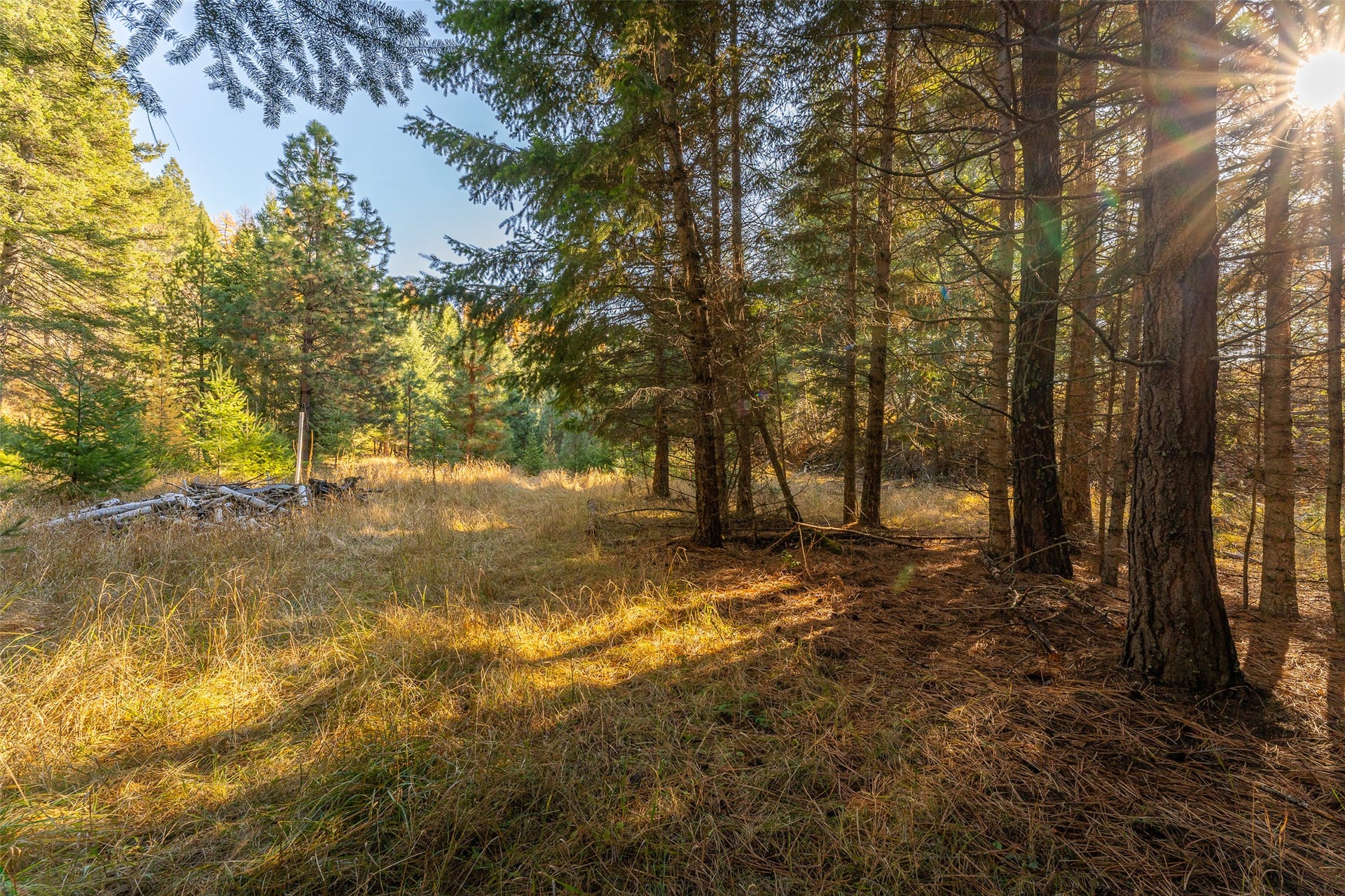 156 Peters Creek Way, Kalispell, MT 59901