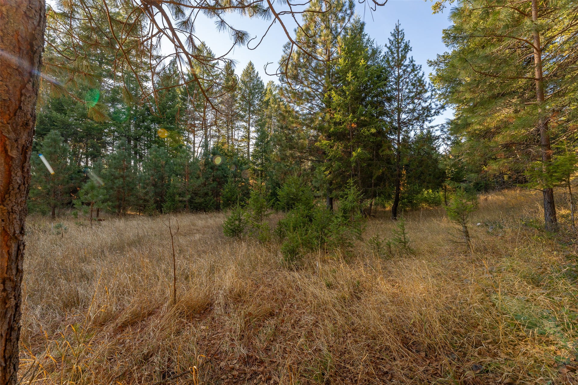 156 Peters Creek Way, Kalispell, MT 59901