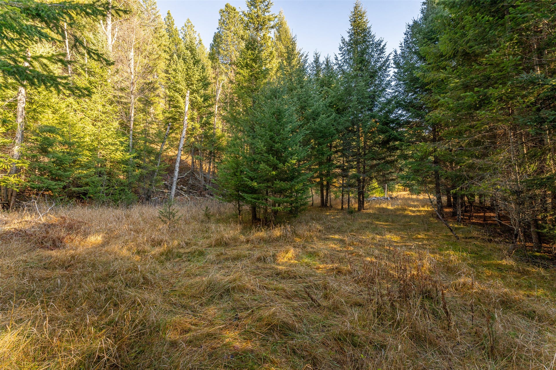 156 Peters Creek Way, Kalispell, MT 59901