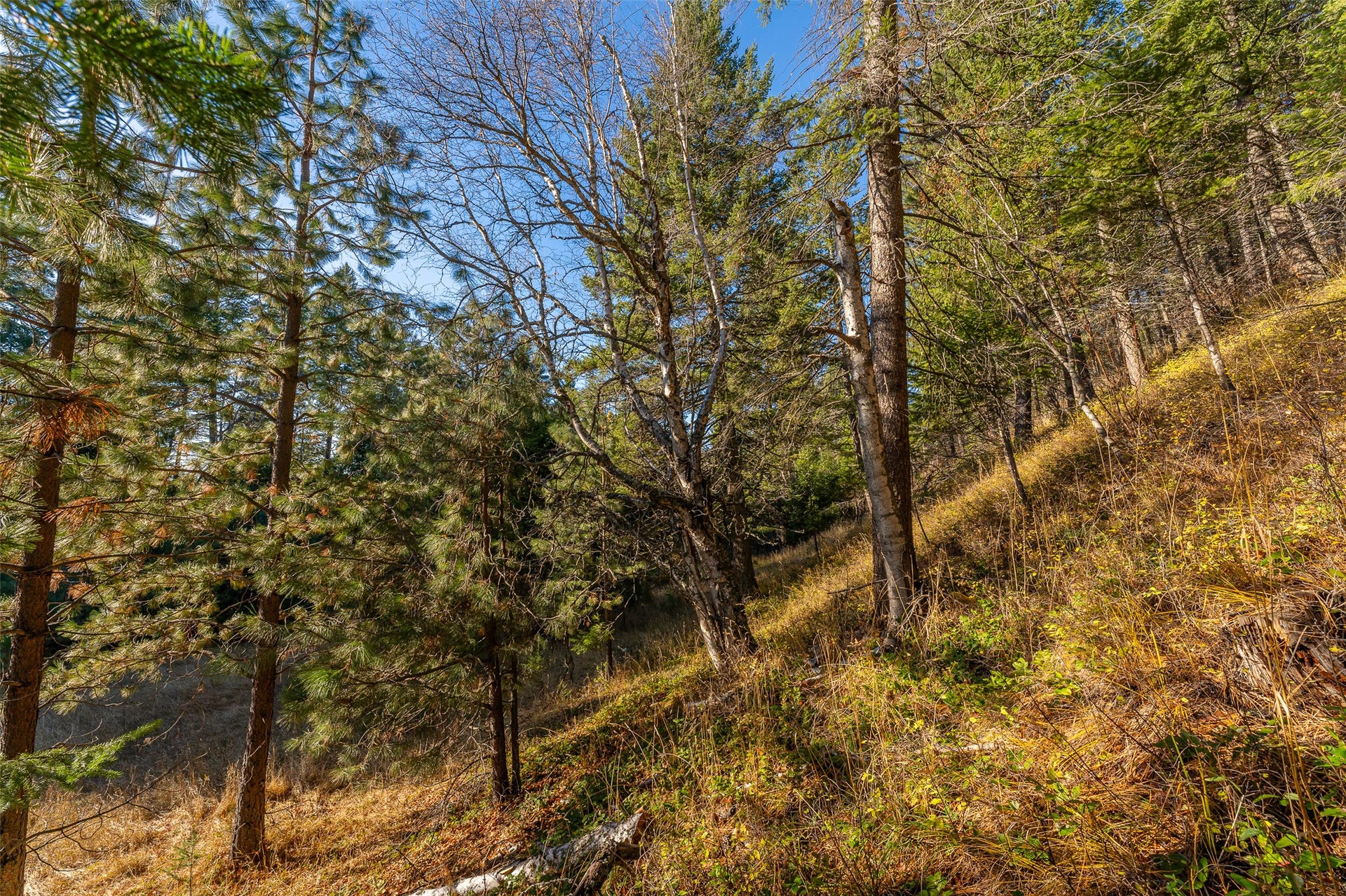 156 Peters Creek Way, Kalispell, MT 59901