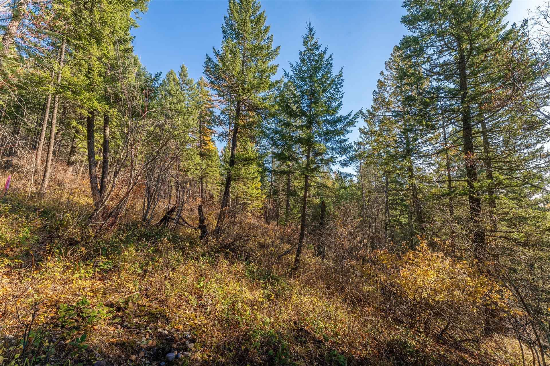 156 Peters Creek Way, Kalispell, MT 59901