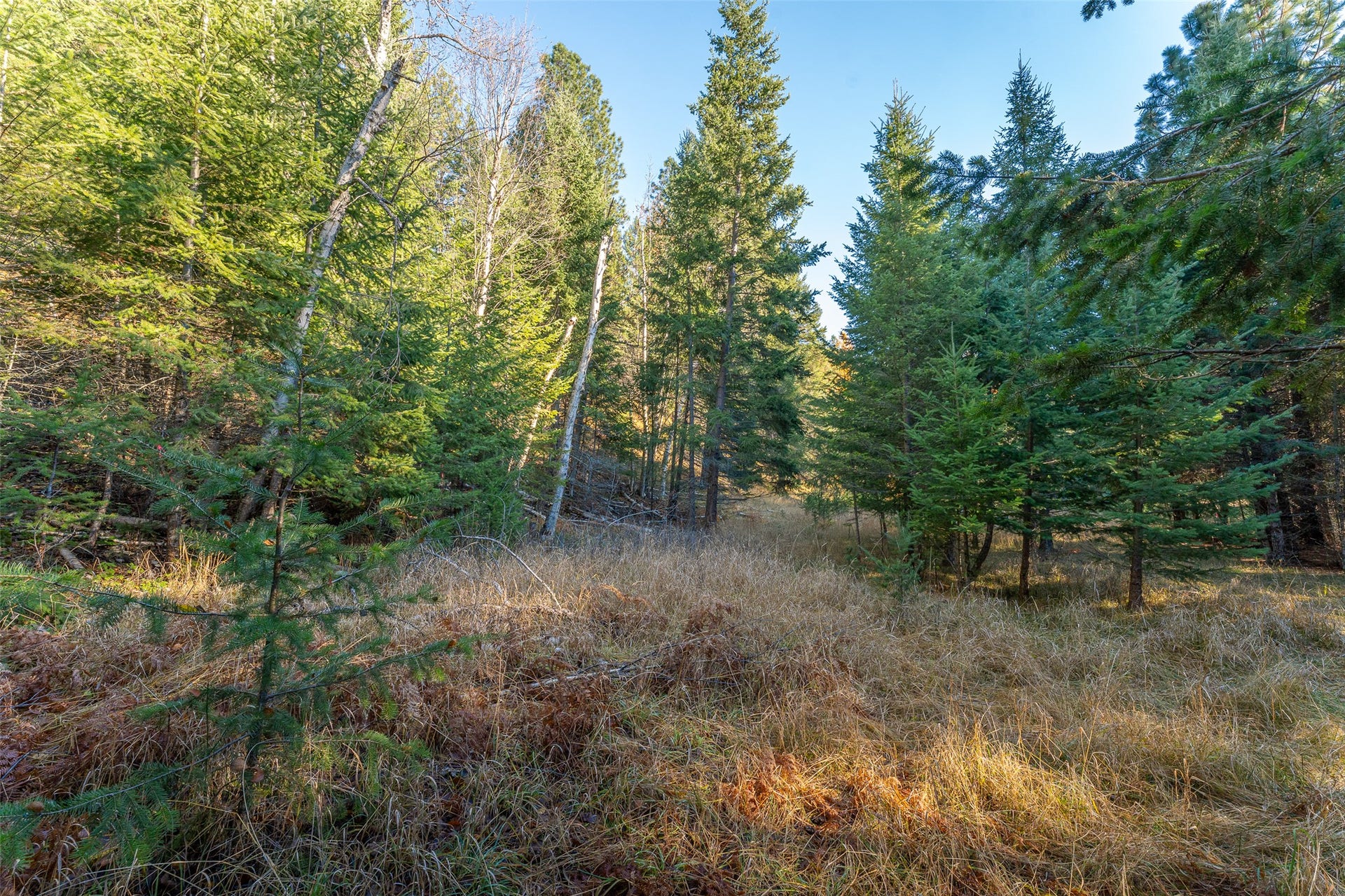 156 Peters Creek Way, Kalispell, MT 59901