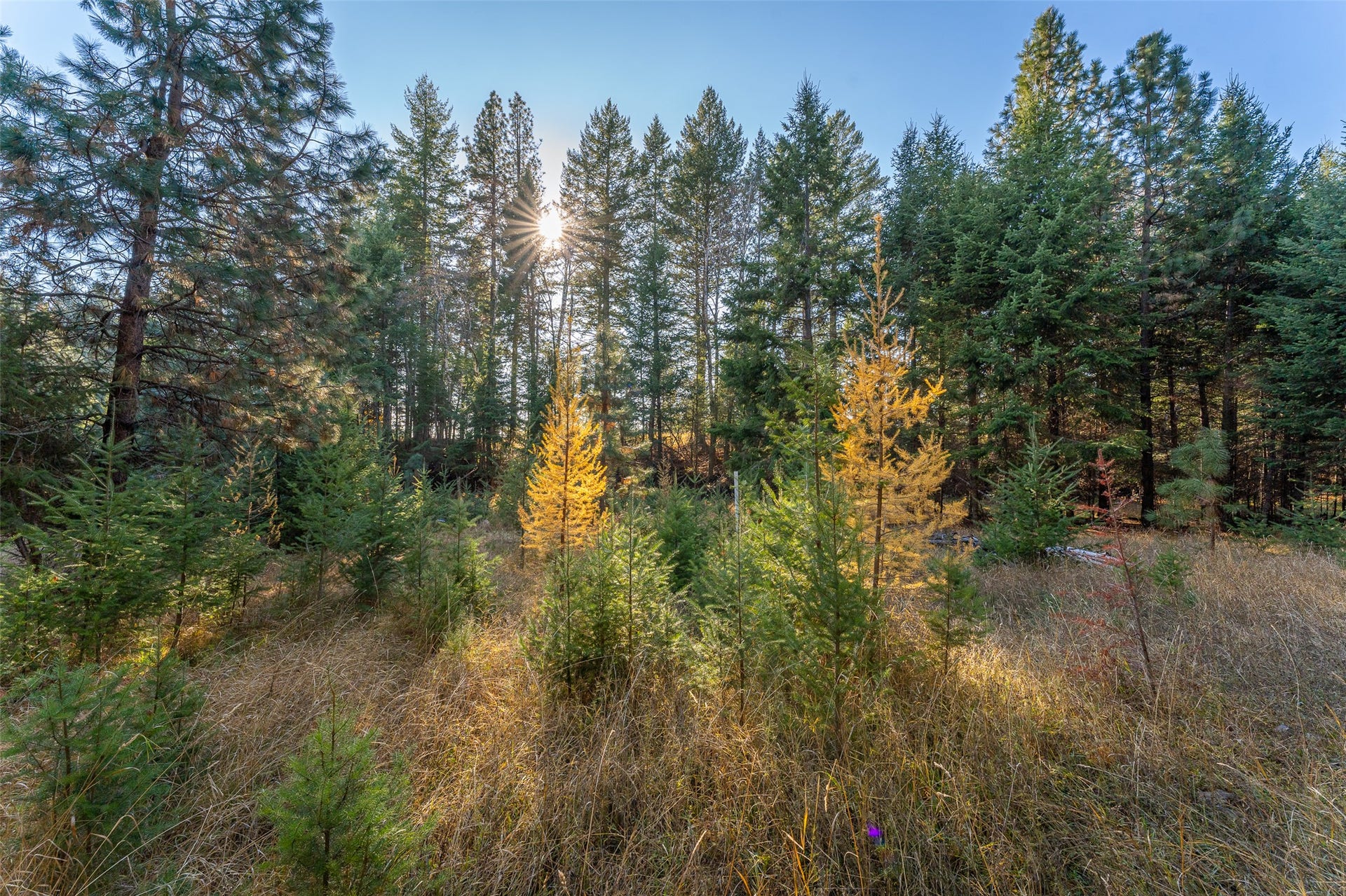 156 Peters Creek Way, Kalispell, MT 59901