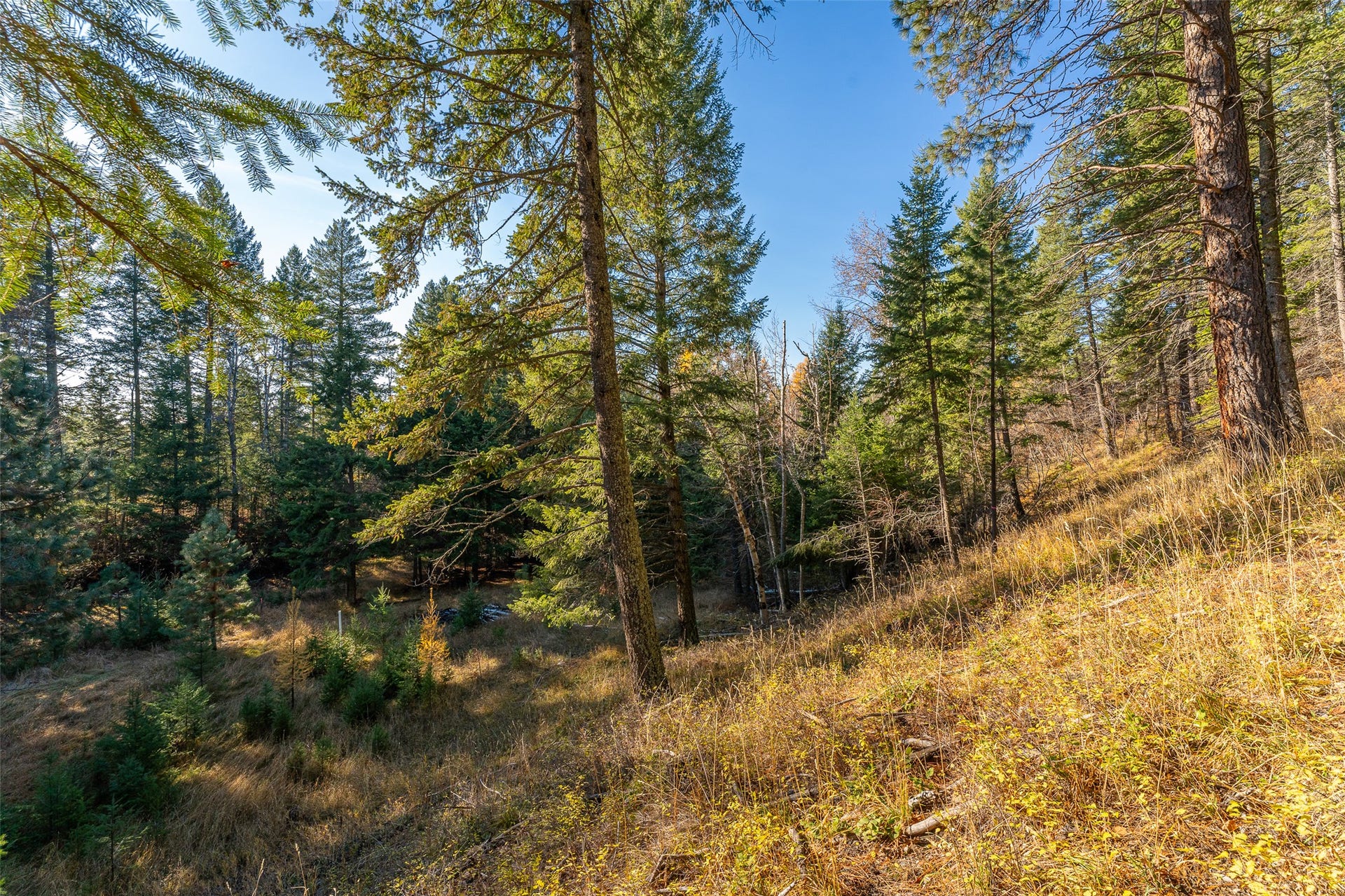 156 Peters Creek Way, Kalispell, MT 59901