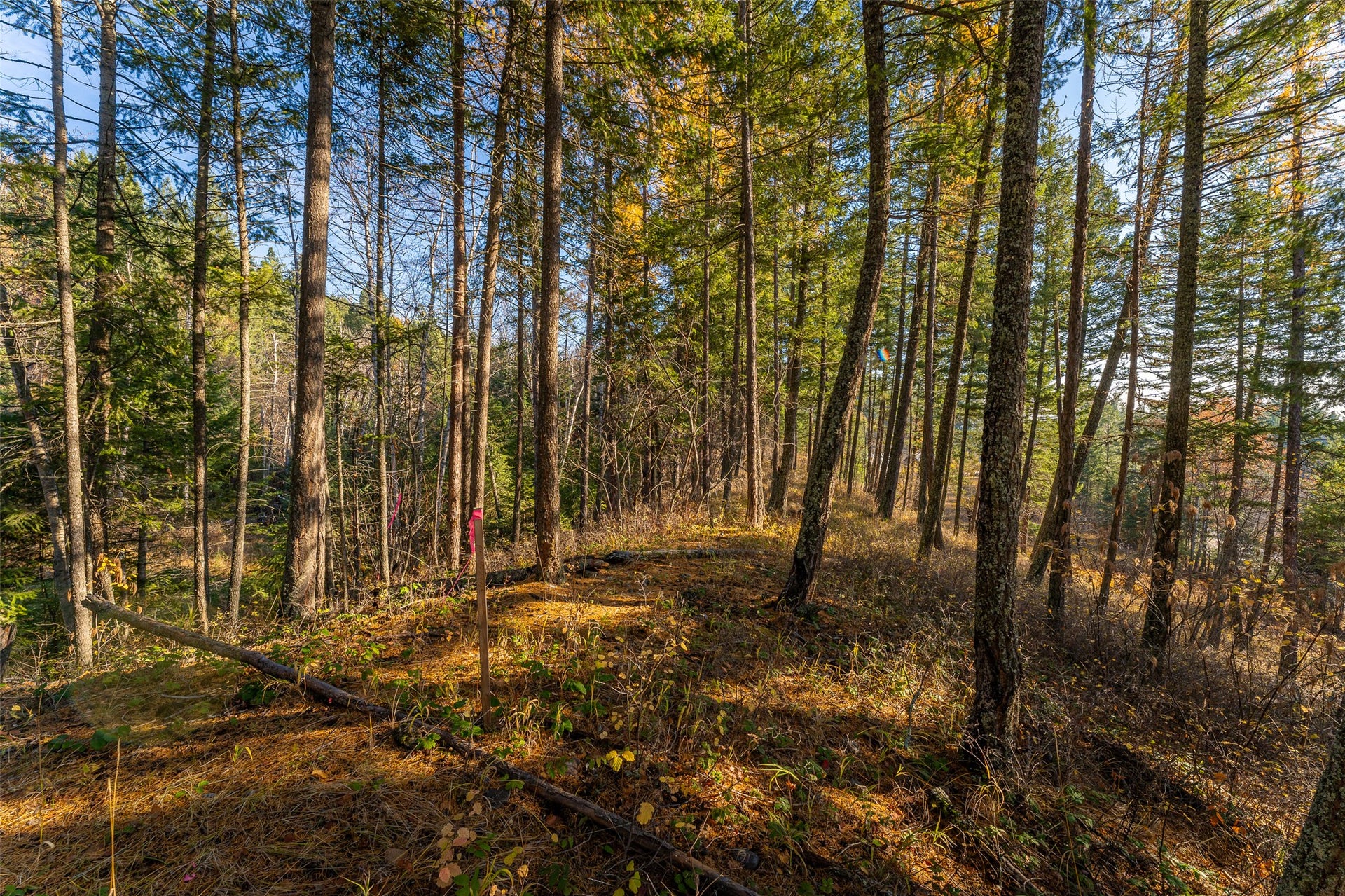 156 Peters Creek Way, Kalispell, MT 59901