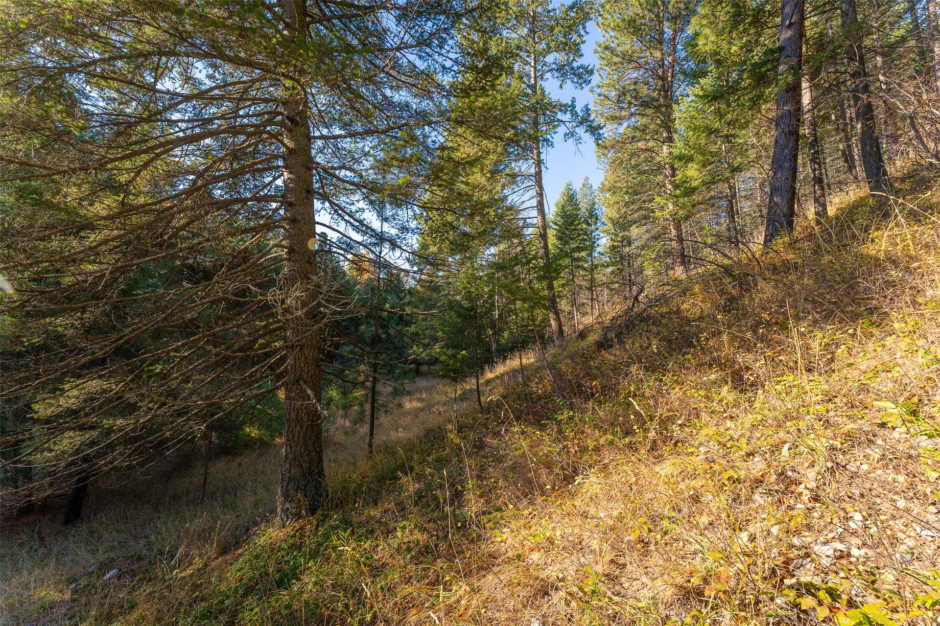 156 Peters Creek Way, Kalispell, MT 59901