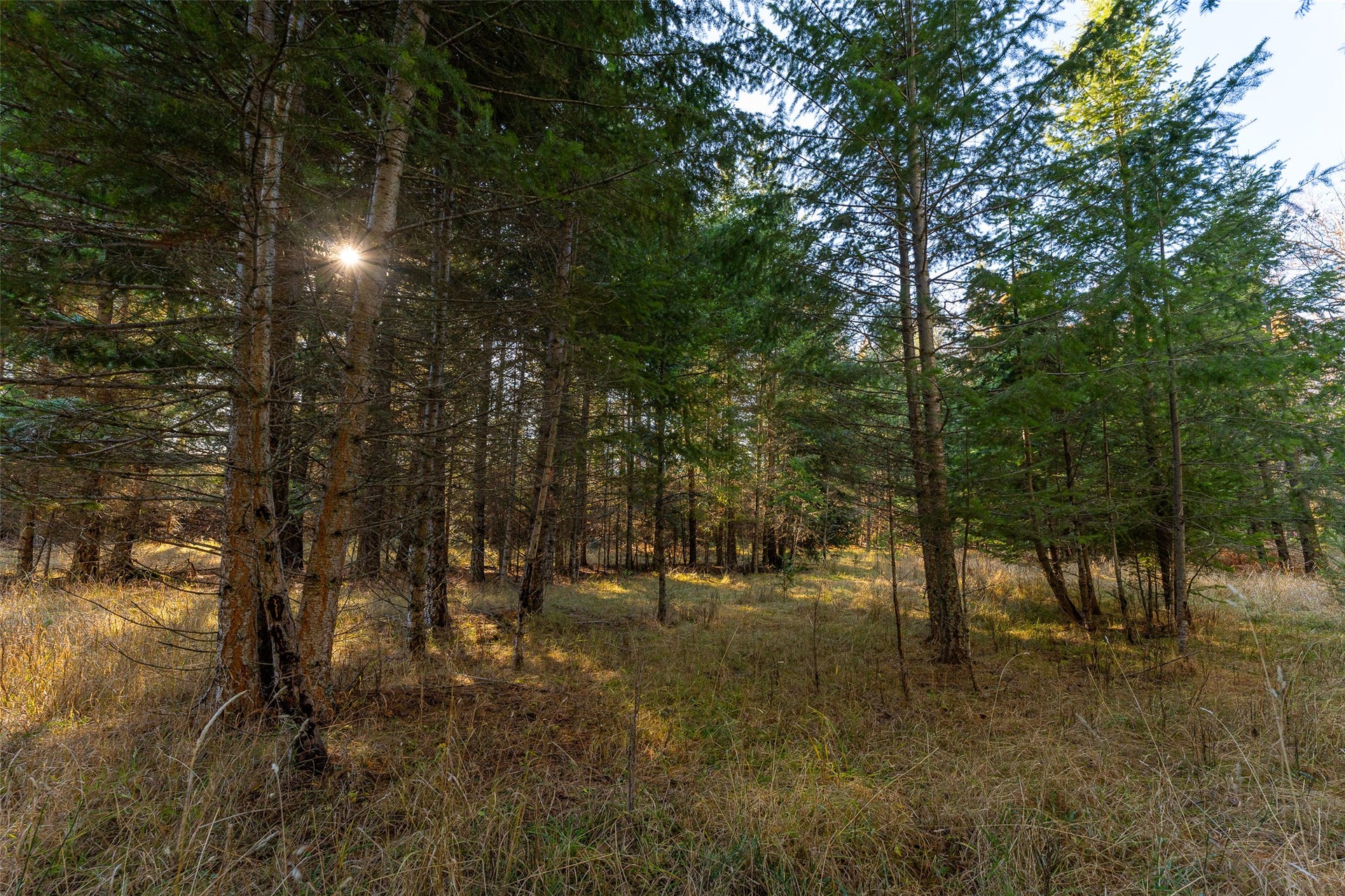156 Peters Creek Way, Kalispell, MT 59901