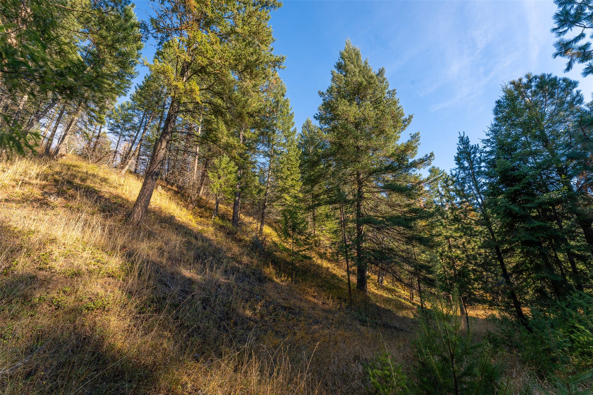 156 Peters Creek Way, Kalispell, MT 59901